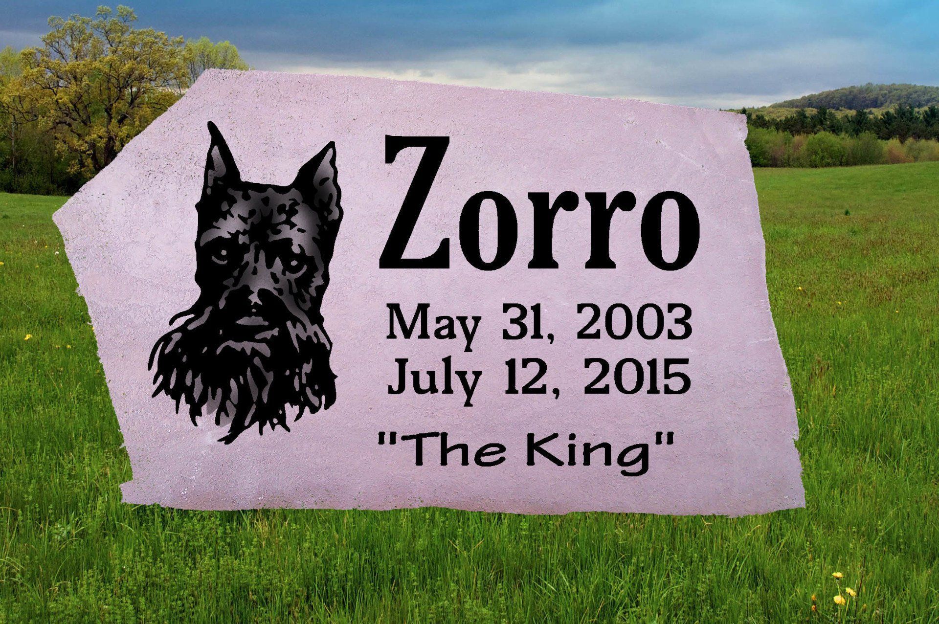 Black dog memorial stone reading “Zorro,” “May 31, 2003,” “July 12, 2015,” and “The King” in a grassy field