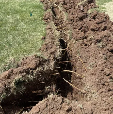 A narrow, freshly dug trench cuts through a grassy lawn, revealing dark soil and exposed tree roots along the edges.