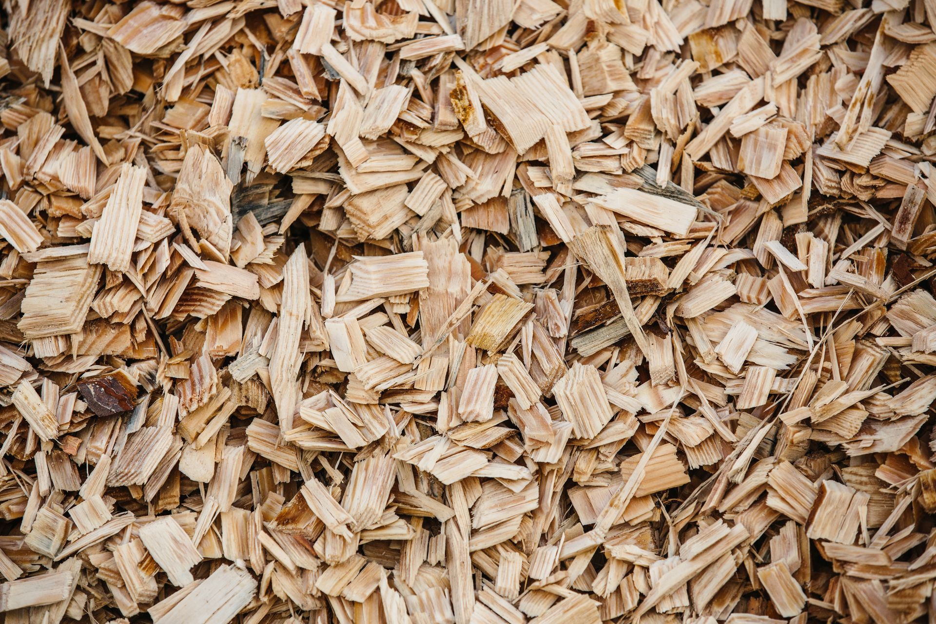 Woodchips — Sanford, SC — Treemasters by Doc Locklear