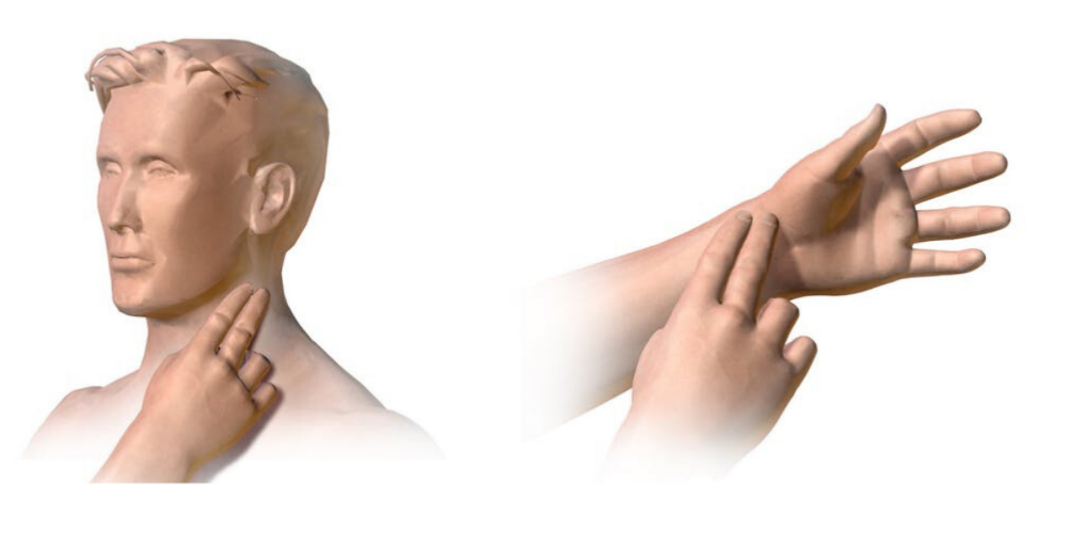 mæla púls