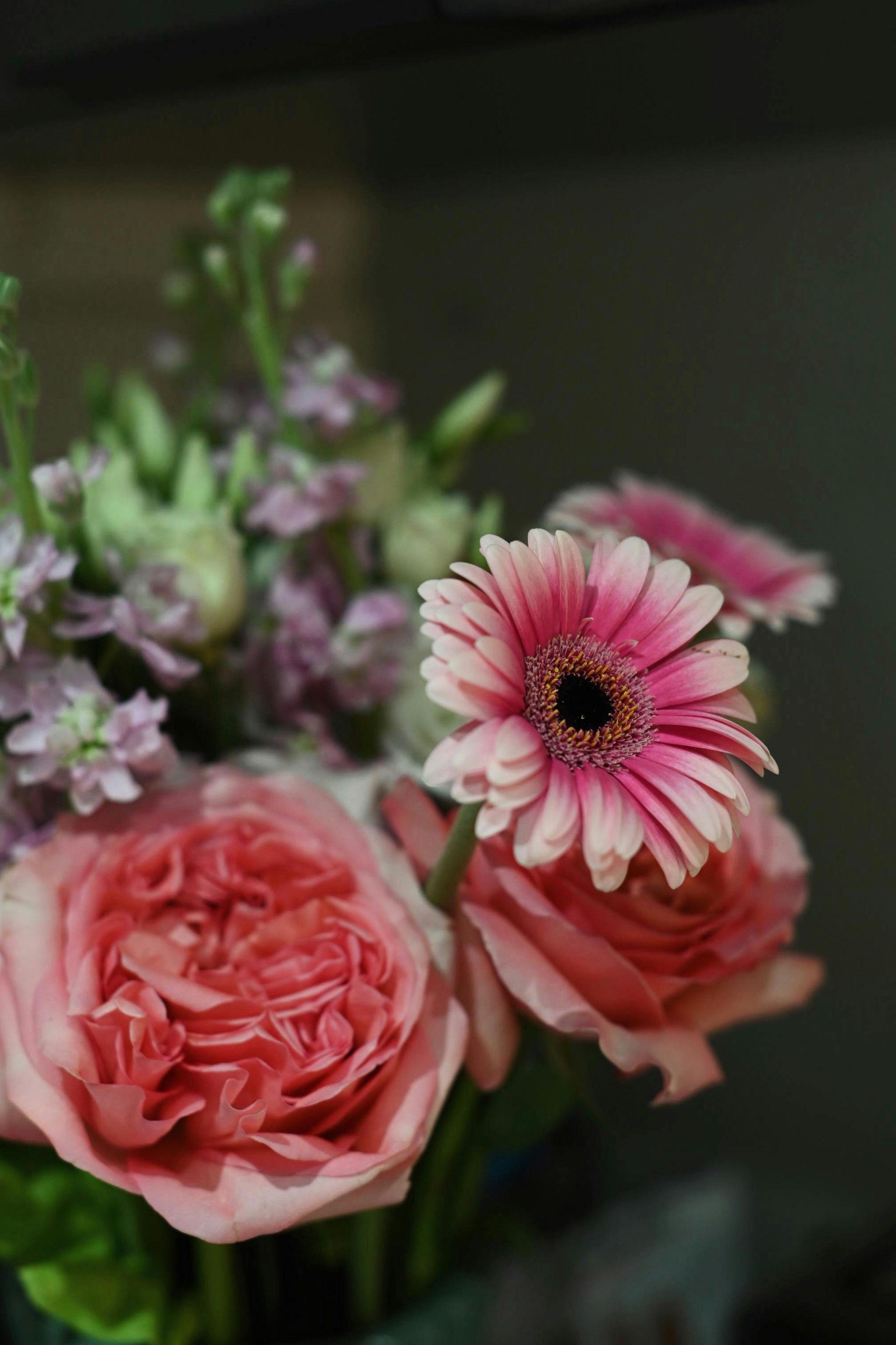 Pink roses and a pink gerbera daisy in a soft-focus floral bouquet