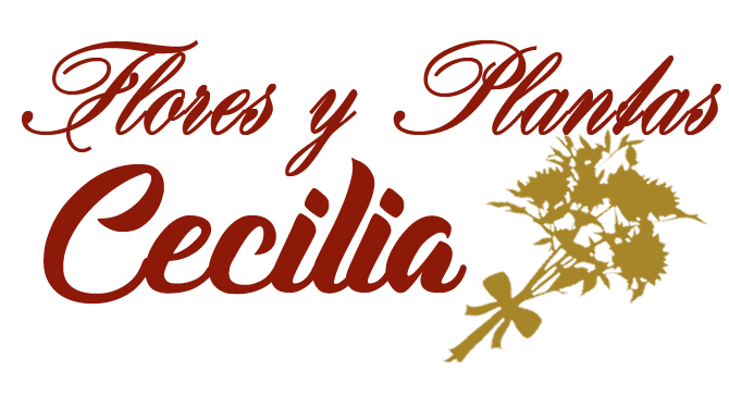 Flores y Plantas Cecilia