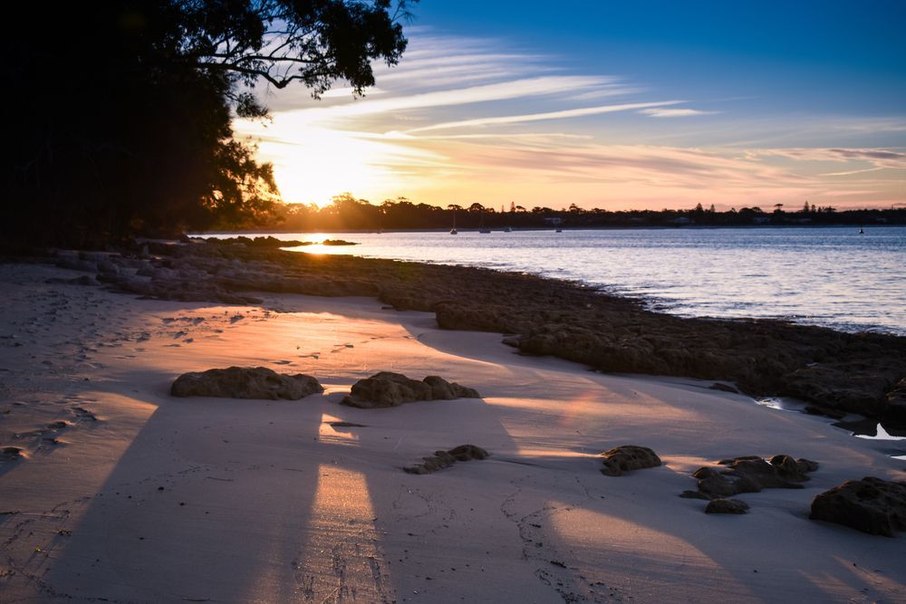 A Sunset Over A Beach With A Tree In The Foreground — All Lift Cranes In Vincentia, NSW