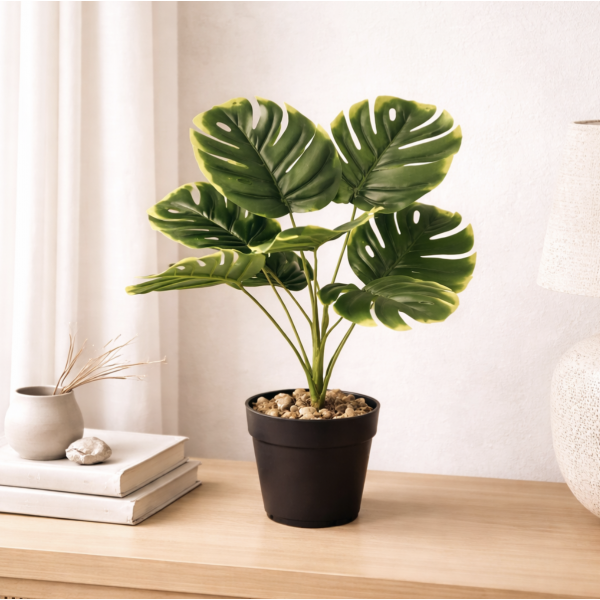 Planta y maceta 42 cm