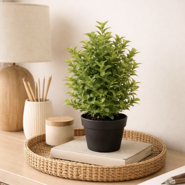 Planta maceta arbolito 35 cm.