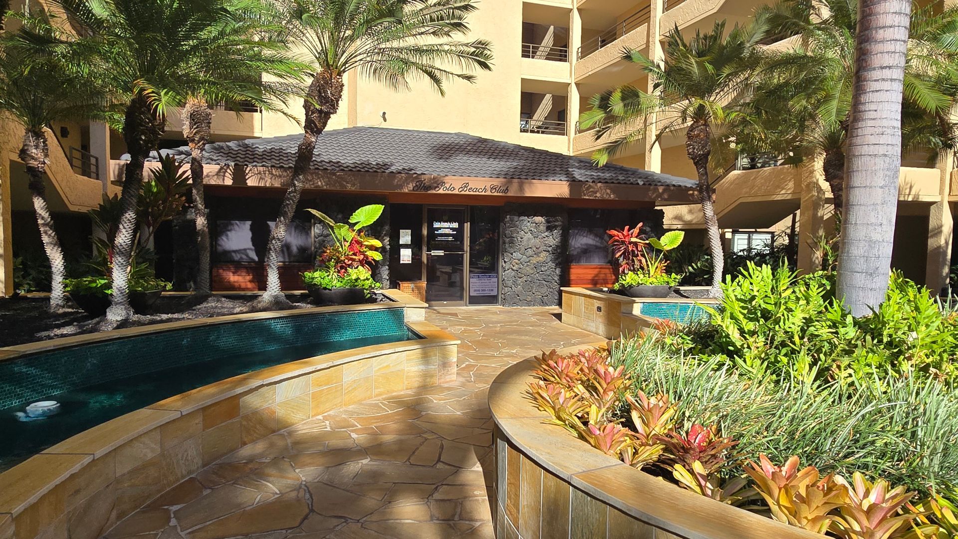 Tropical bar with thatched roof, surrounded by plants and a water feature; sunny day.