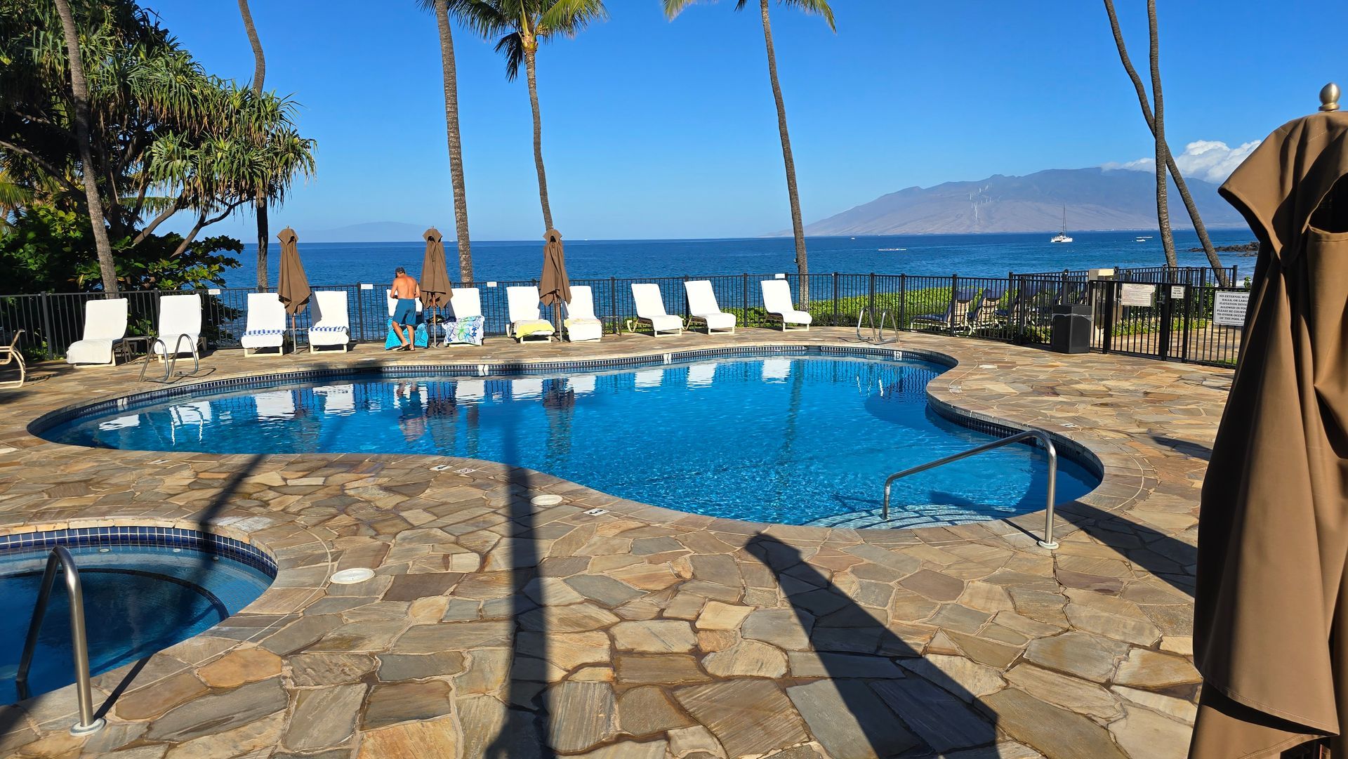 Pool with ocean view; lounge chairs, palm trees, blue water, sunny day.