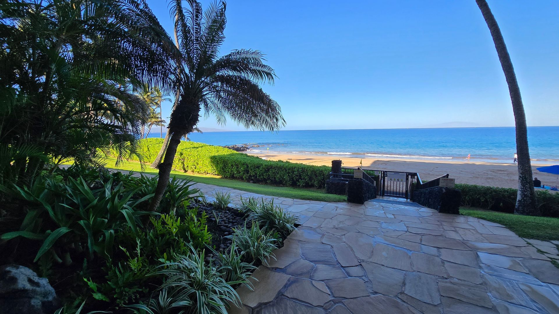 Pathway leading to a sandy beach and ocean, framed by greenery and palm trees under a blue sky.