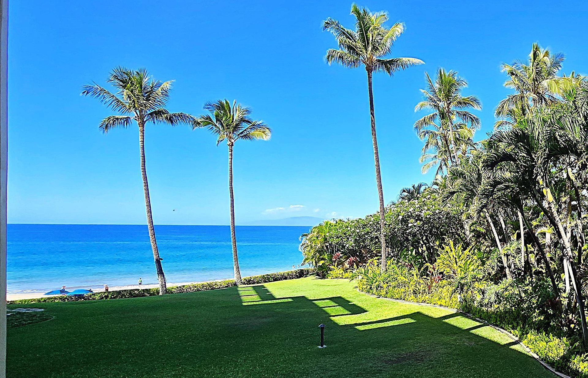 Palm trees over a green lawn overlook a blue ocean and beach under a clear, bright sky.