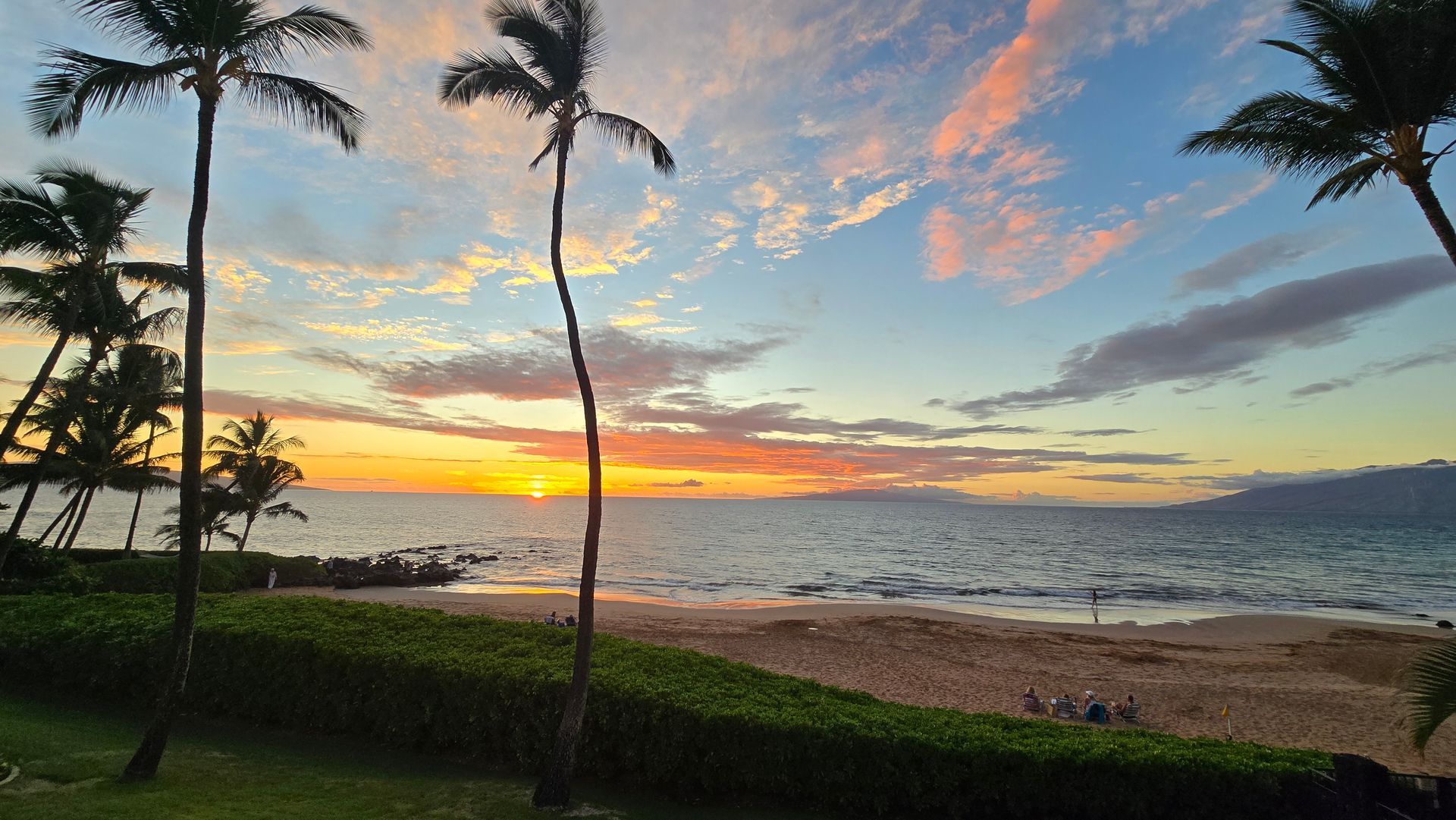 Palm trees frame a sunset over the ocean, with colorful clouds and beach vegetation.