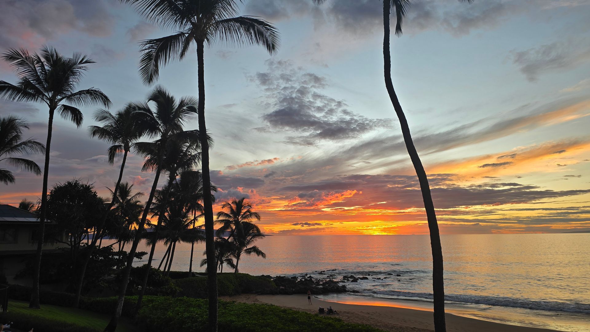 Sunset over ocean, silhouetted palm trees on beach with colorful sky.