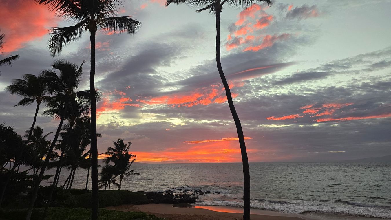 Sunset over ocean with palm trees silhouetted against vibrant orange and pink clouds.