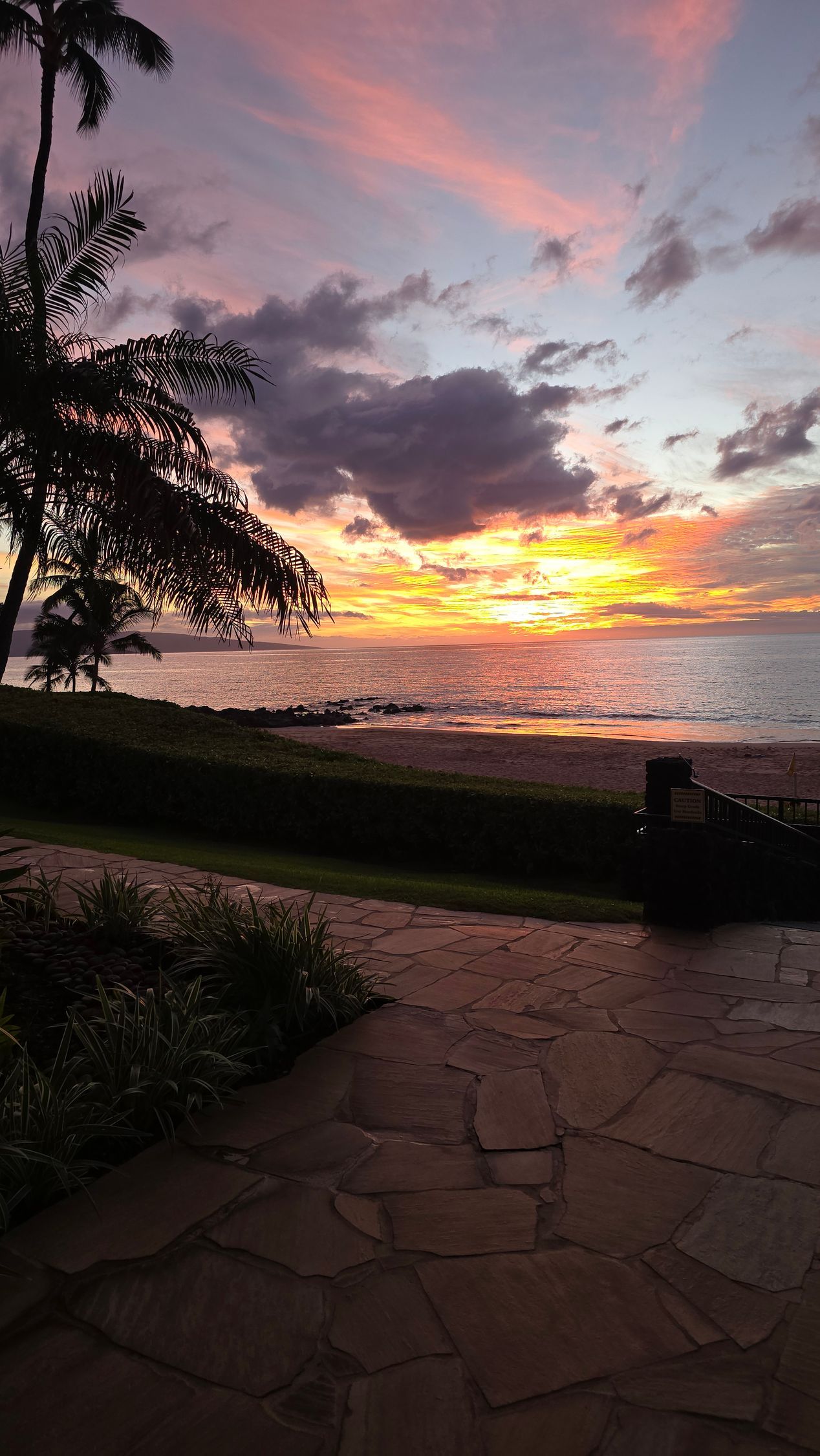 Sunset over the Polo Beach from a garden path, with pink clouds and silhouetted trees.