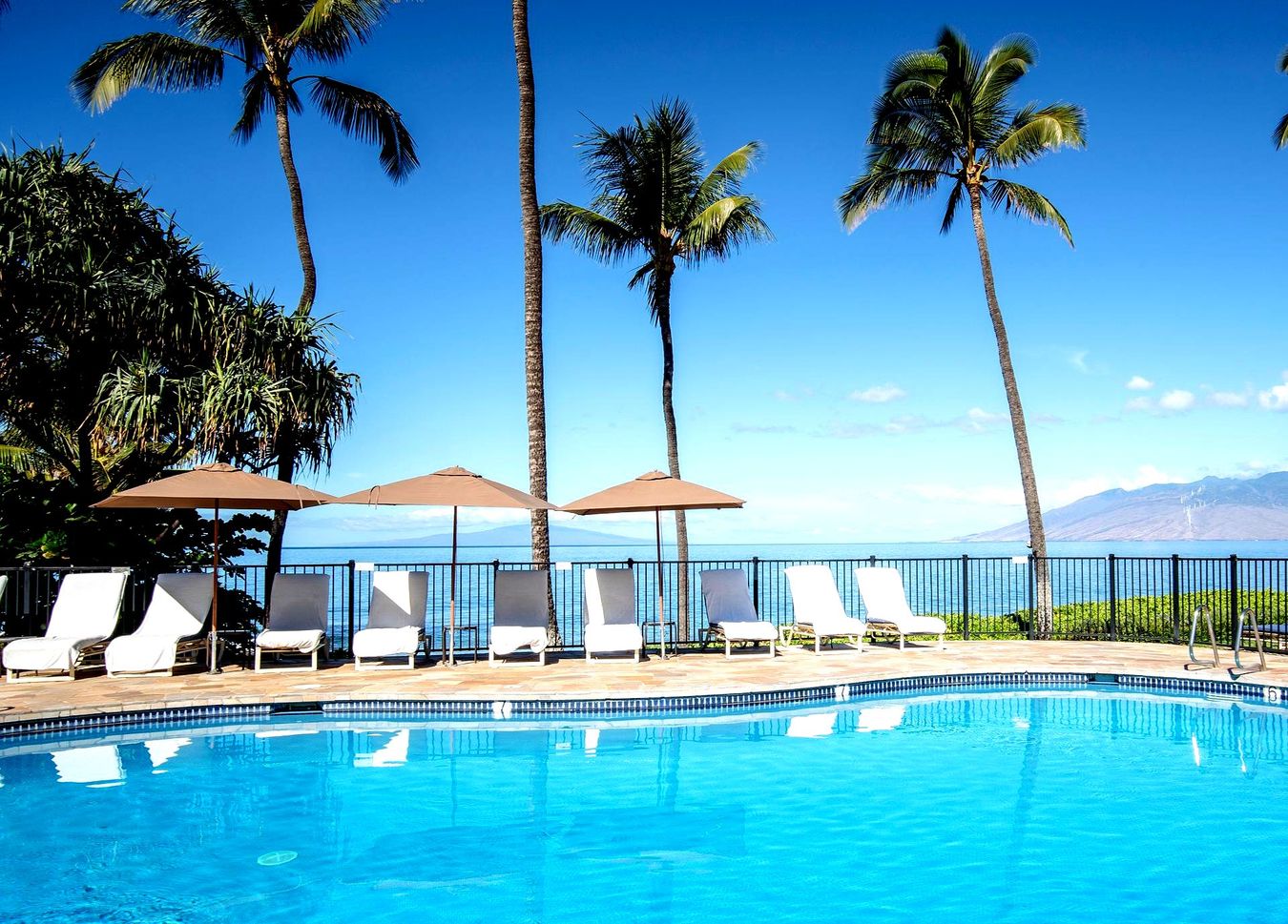 Swimming pool overlooking ocean, with lounge chairs and palm trees under a blue sky.