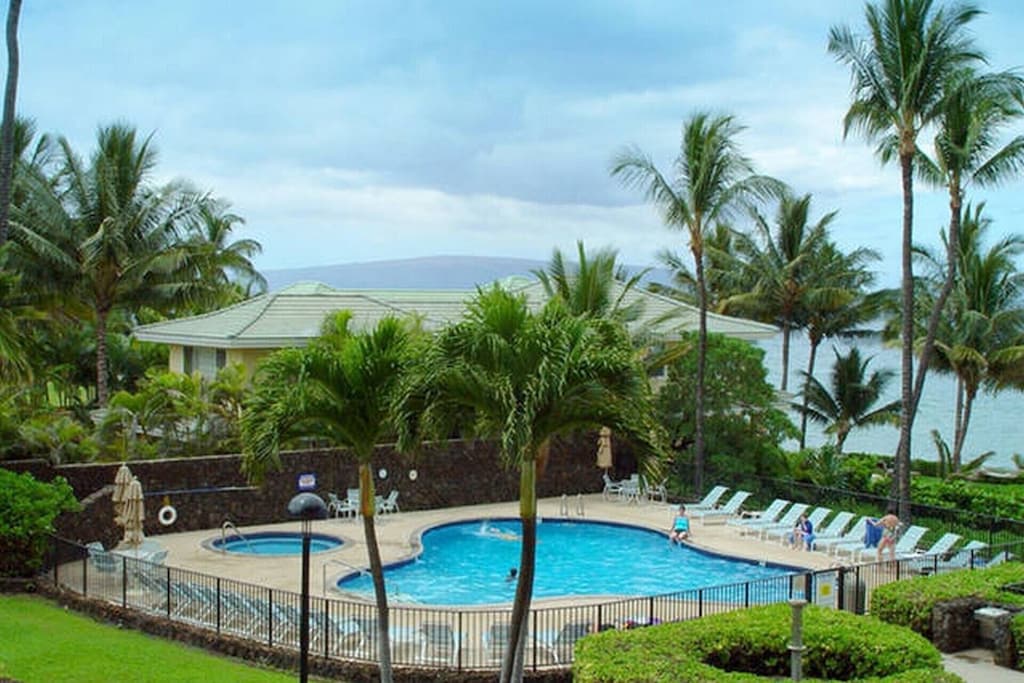 Pool with blue water and surrounding lounge chairs, palm trees, and ocean view.