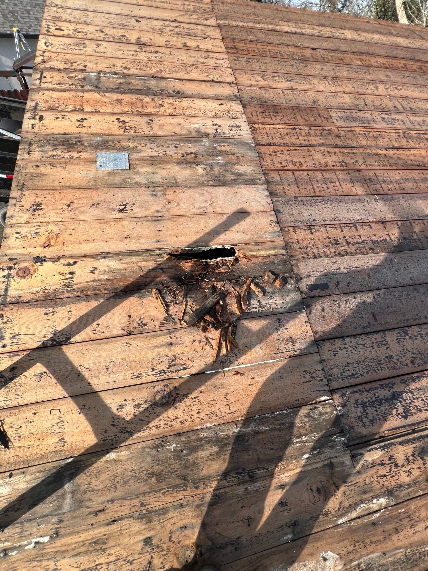 Roof Shingle Removal and Installation in Citrus Heights