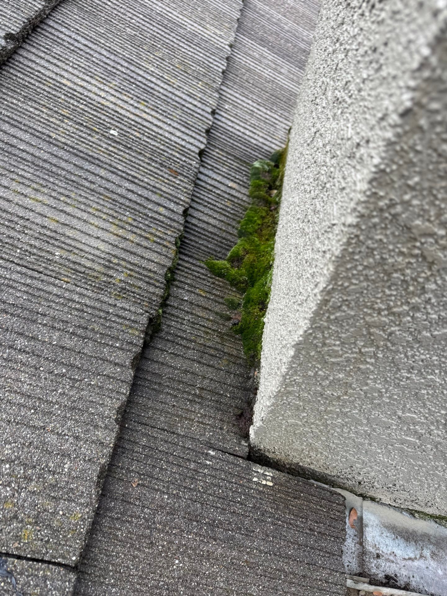 Chimney Roof Leak Repair in Auburn, CA