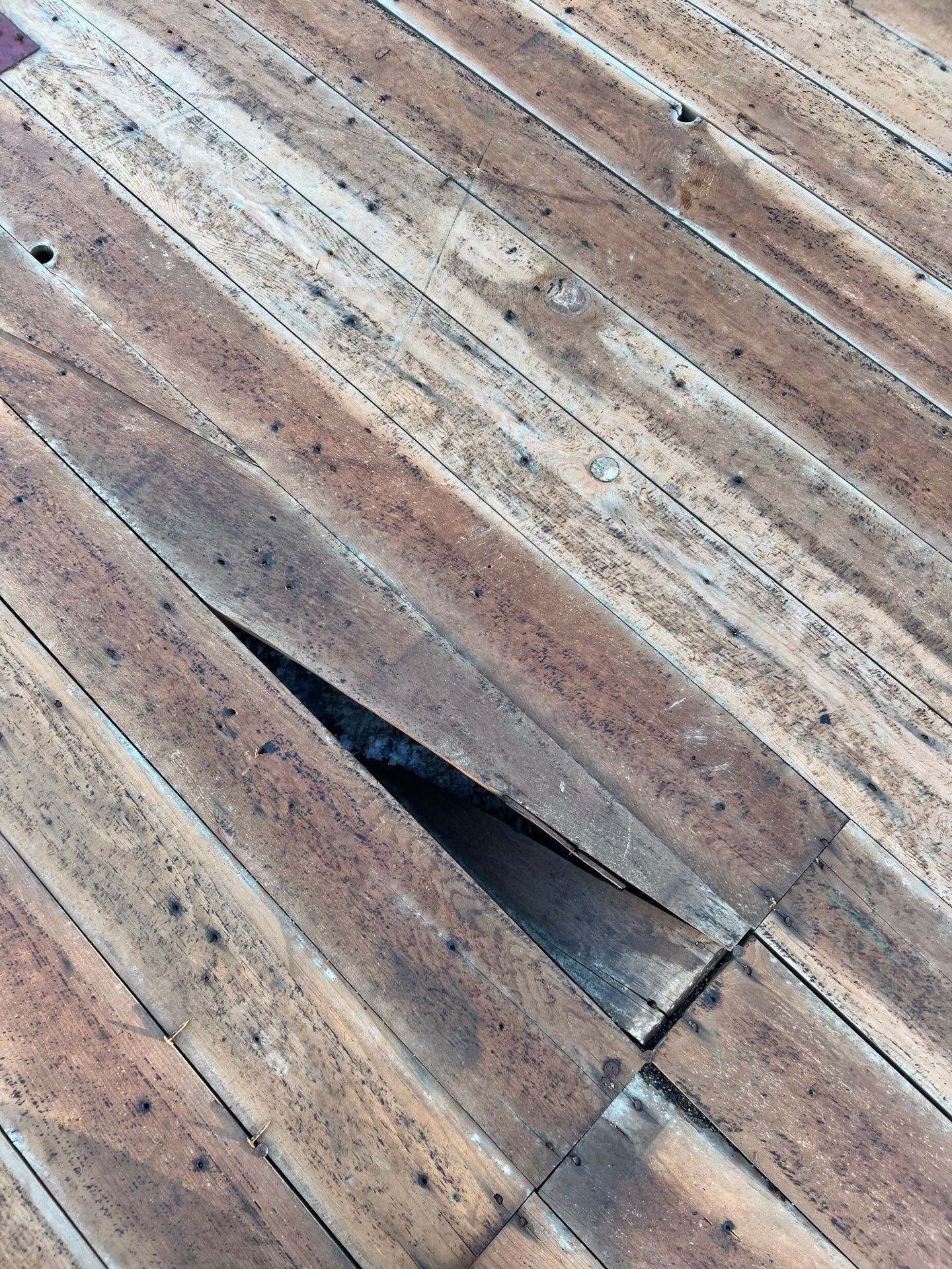 Residential Roof Asphalt Shingle Installation and Dry Rot Repair in Sacramento, CA