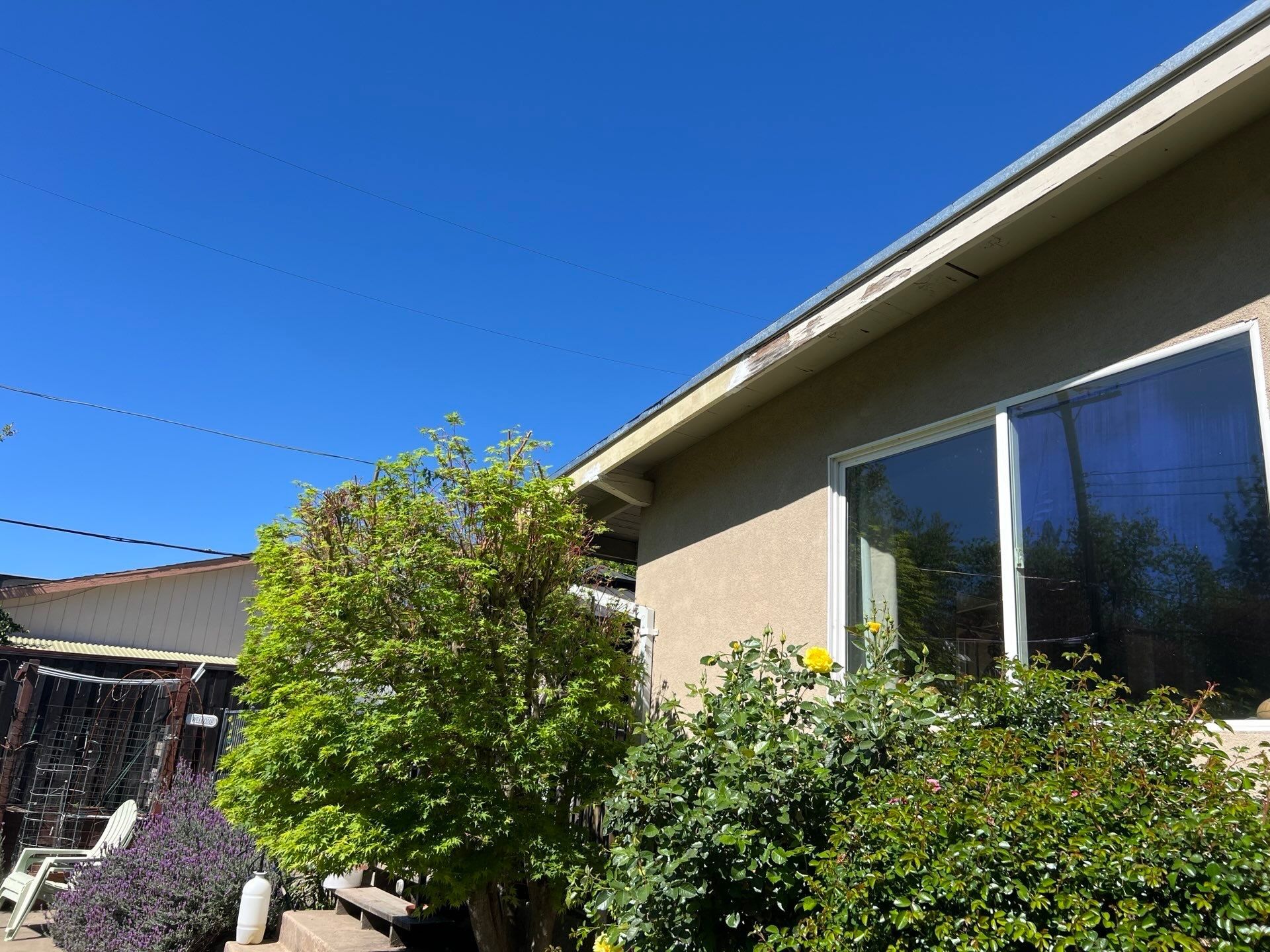 Dry Rot Repair and Roof Shingle Installation in Orangevale, CA