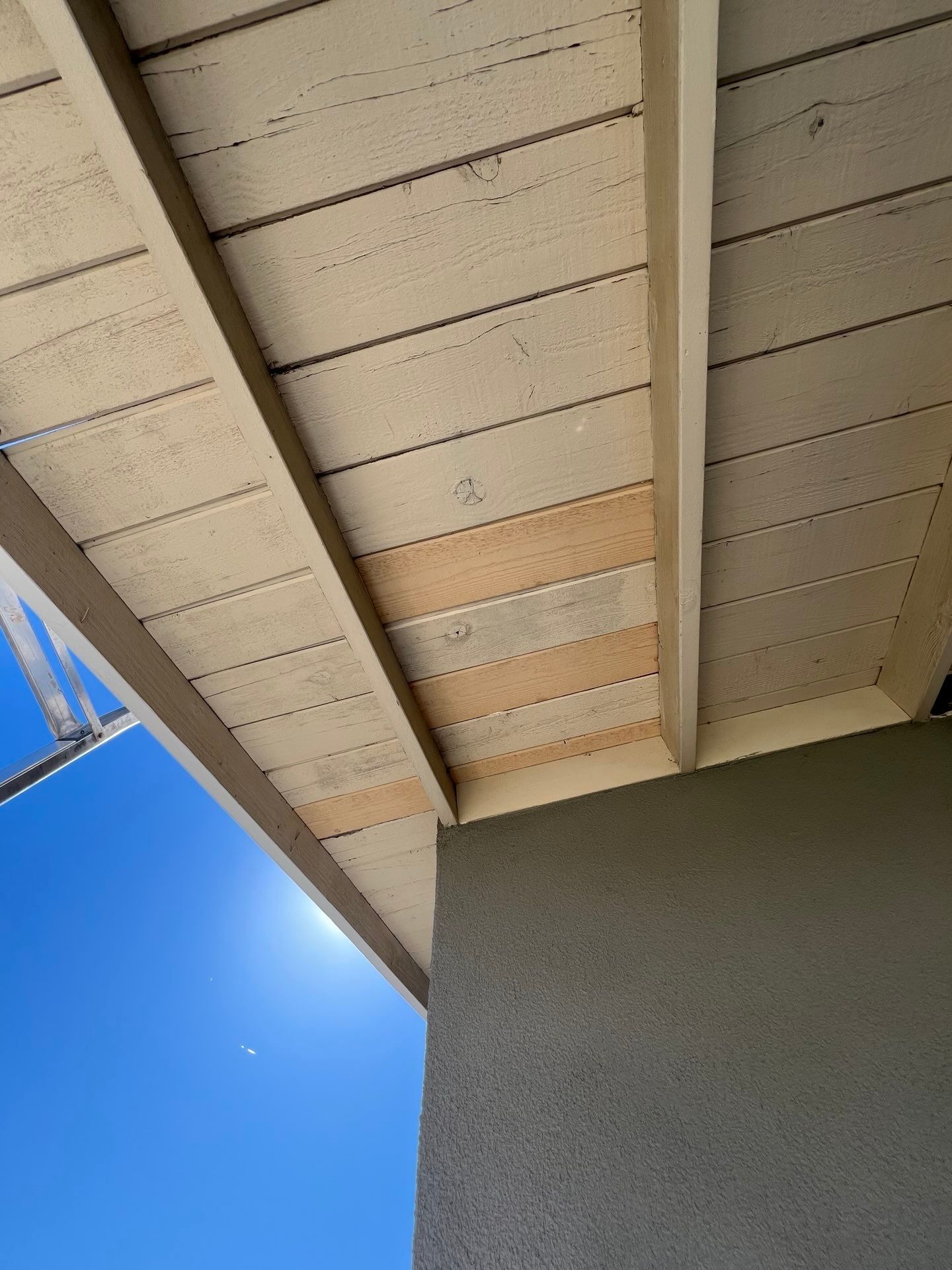 Dry Rot Repair and Roof Shingle Installation in Orangevale, CA