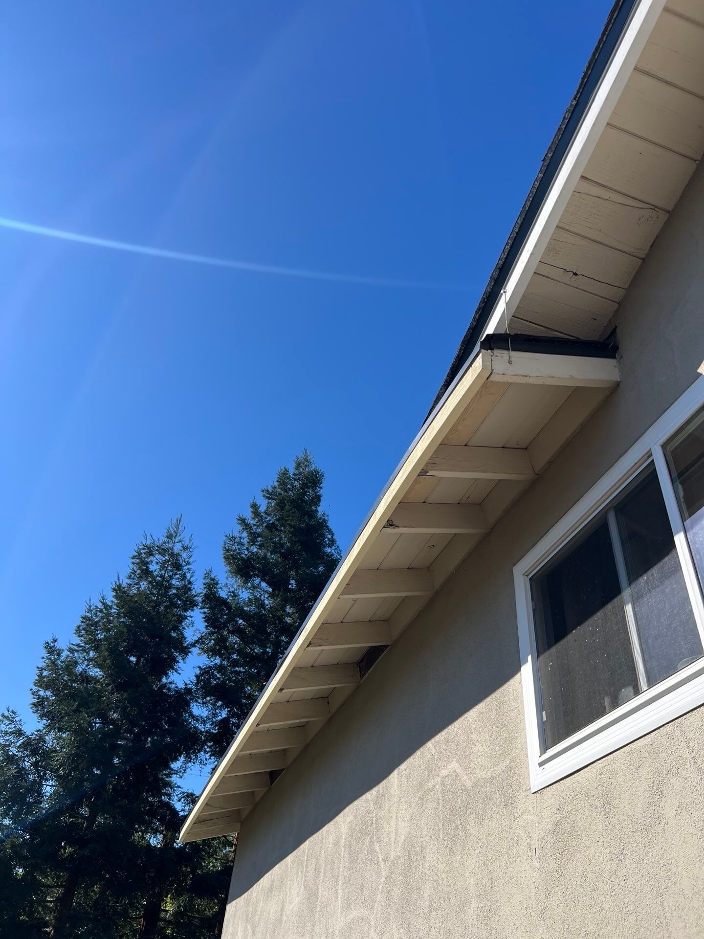 Dry Rot Repair and Roof Shingle Installation in Orangevale, CA