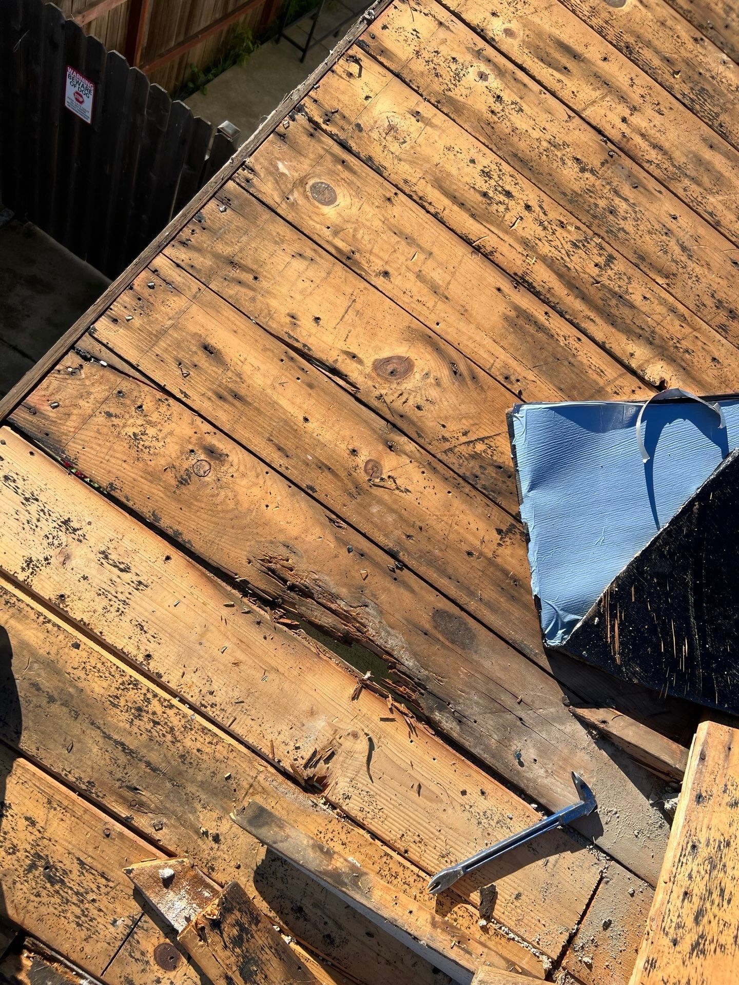 Dry Rot Repair and Roof Shingle Installation in Orangevale, CA