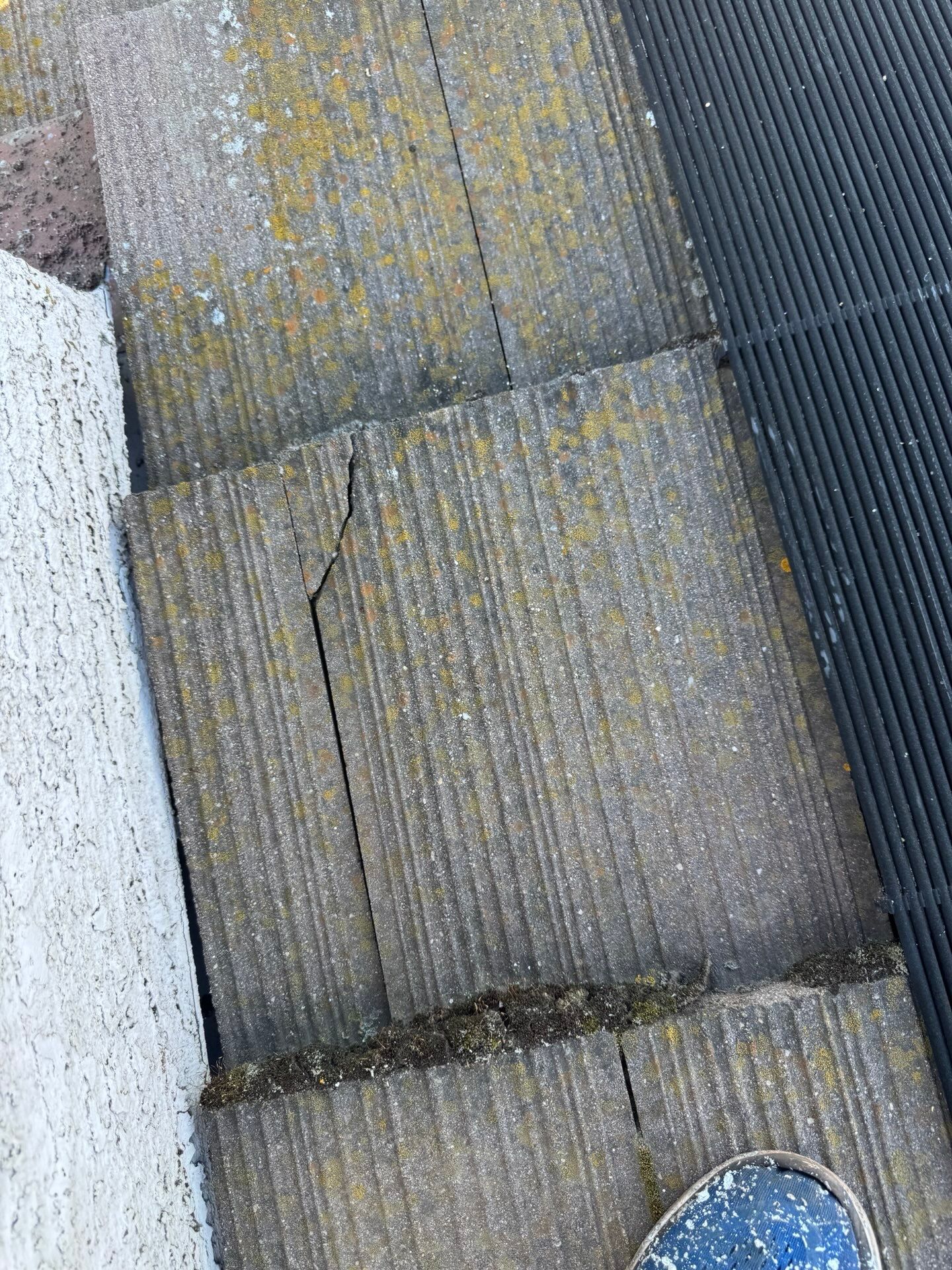 Roof Inspection and Leak Repair in Roseville, CA