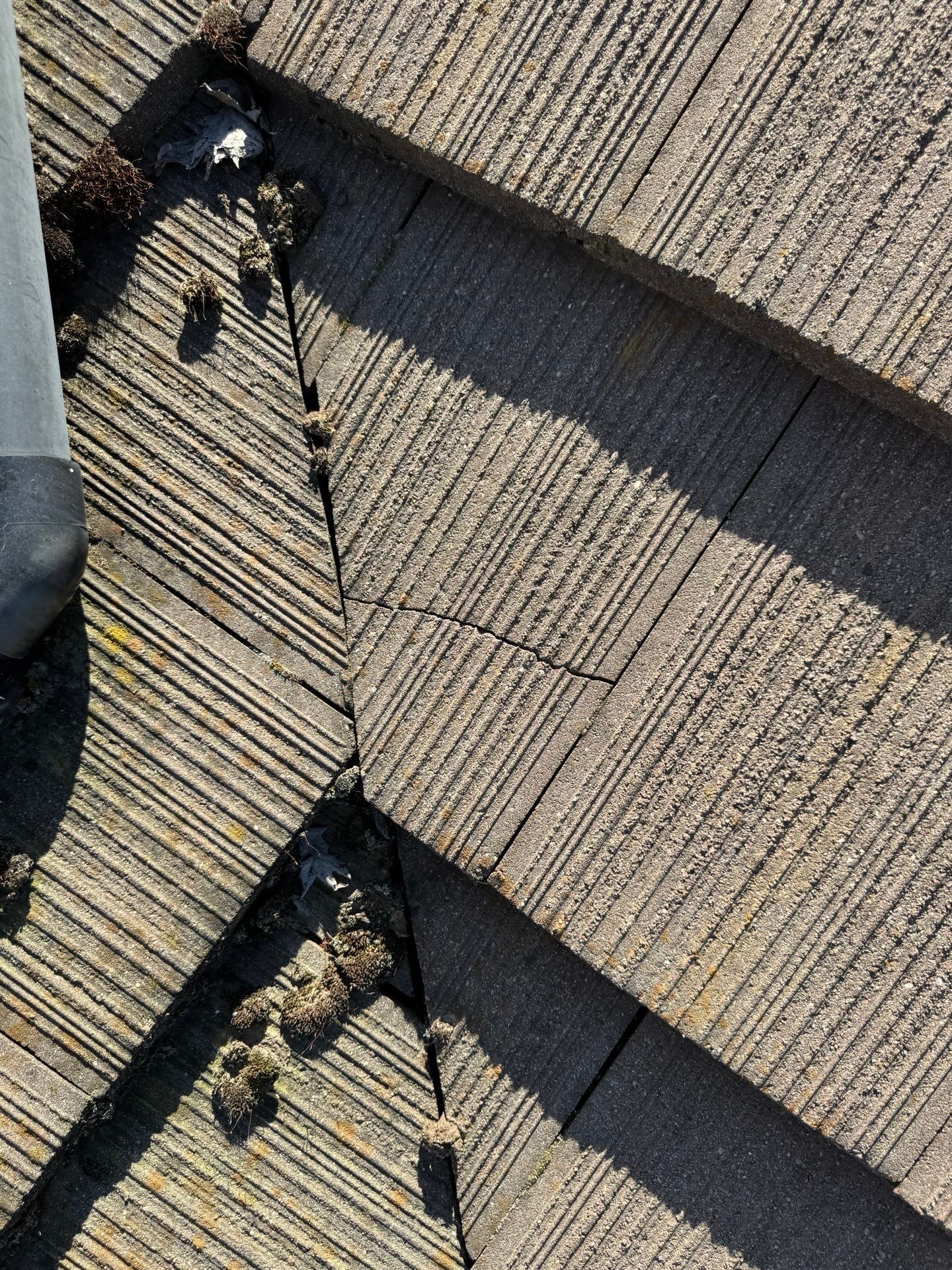 Roof Inspection and Leak Repair in Roseville, CA