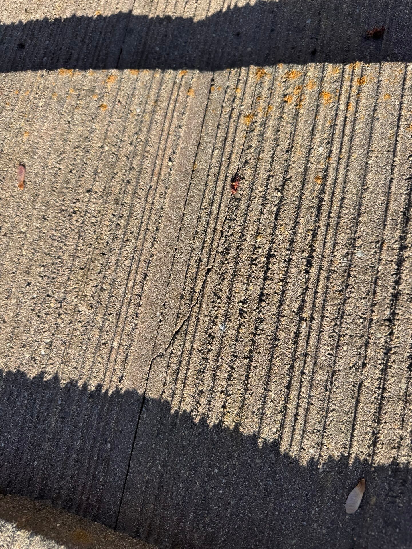Roof Inspection and Leak Repair in Roseville, CA