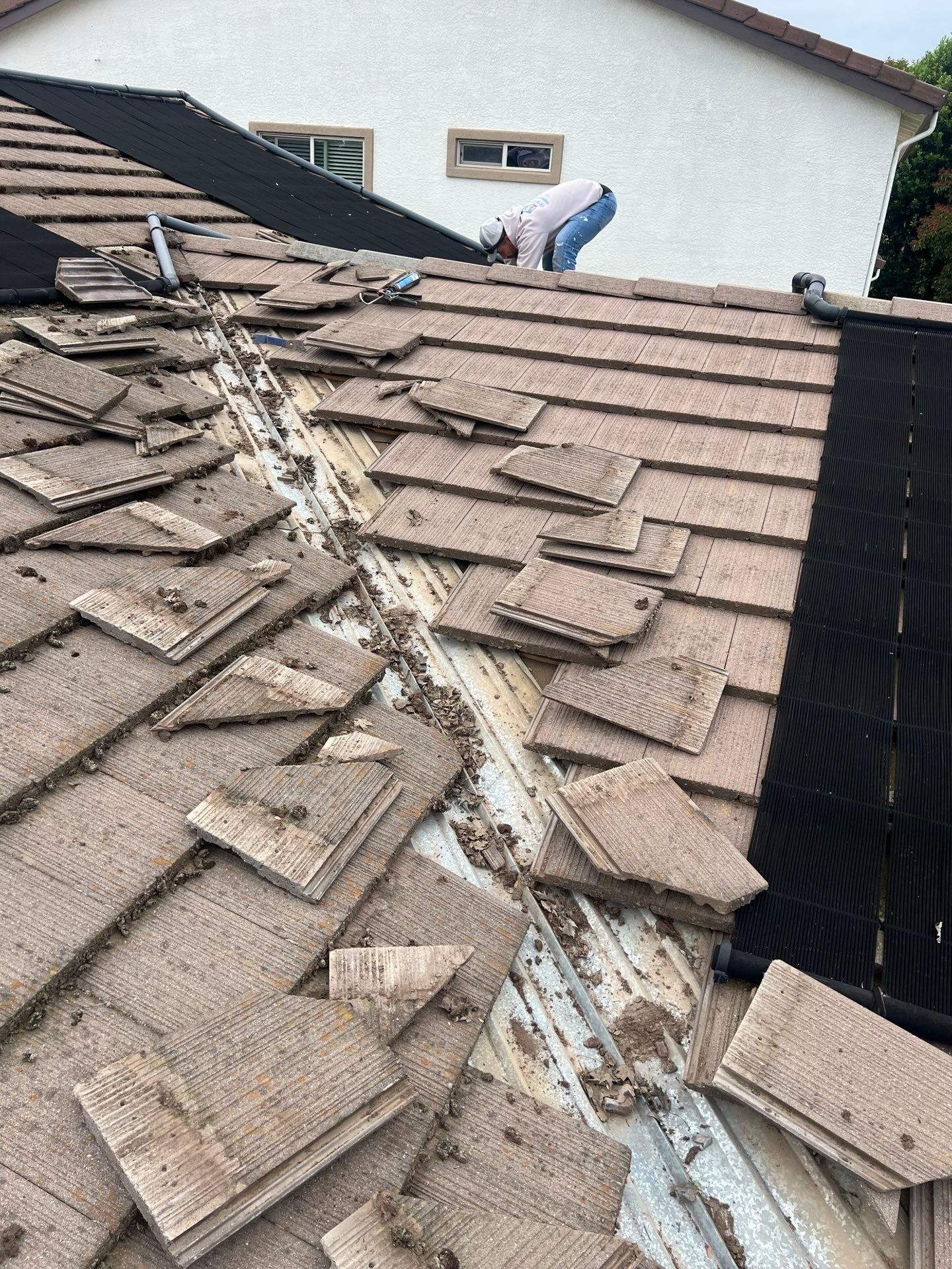 Roof Inspection and Leak Repair in Roseville, CA