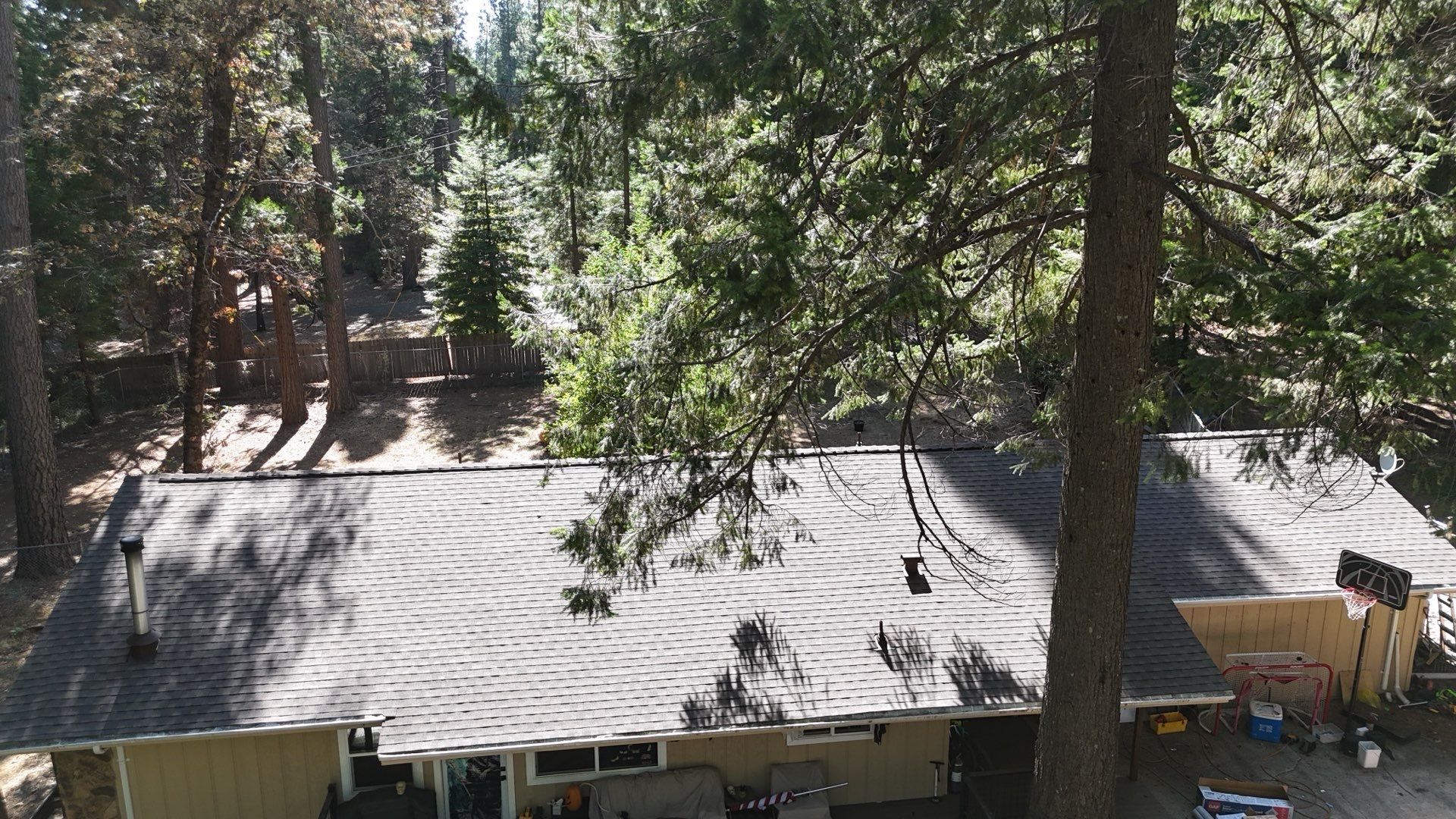 Dry Rot Repair and Roof Shingle Installation in Foresthill, CA