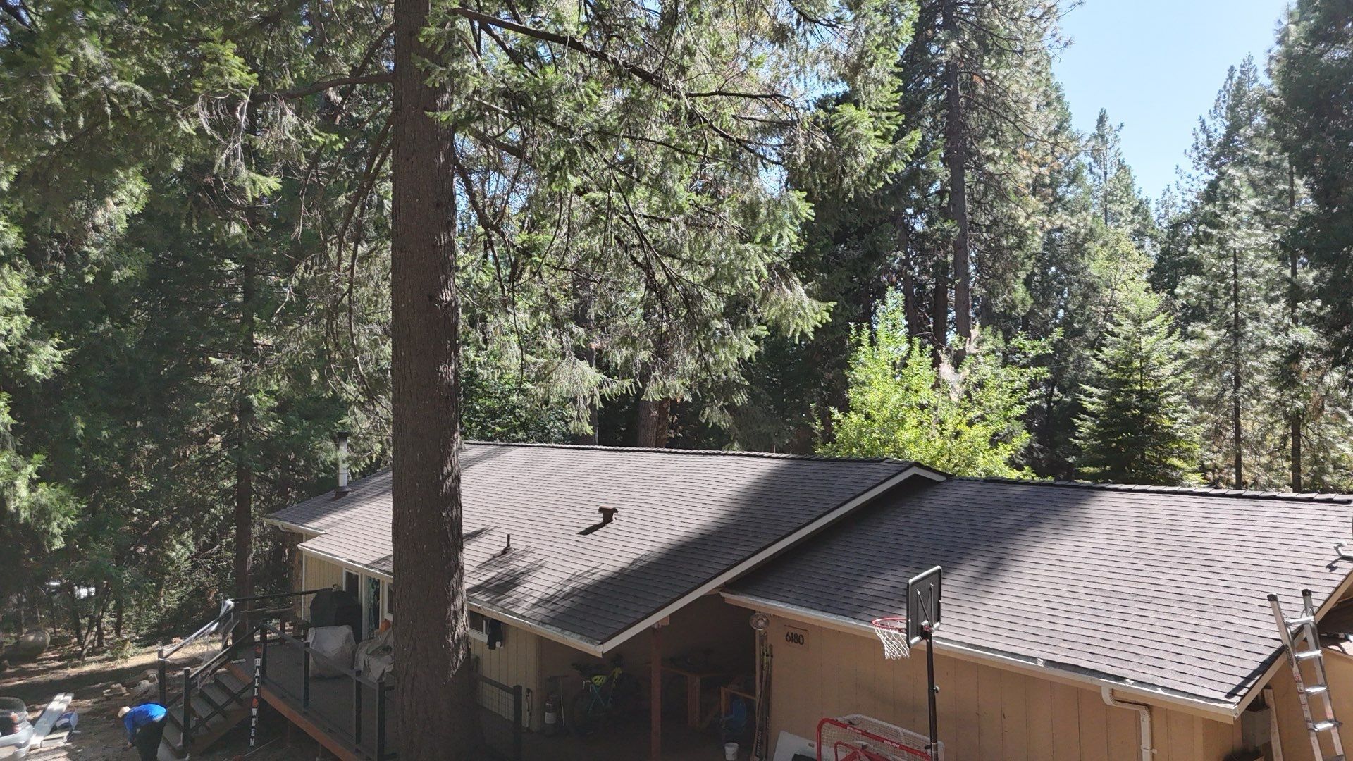 Dry Rot Repair and Roof Shingle Installation in Foresthill, CA
