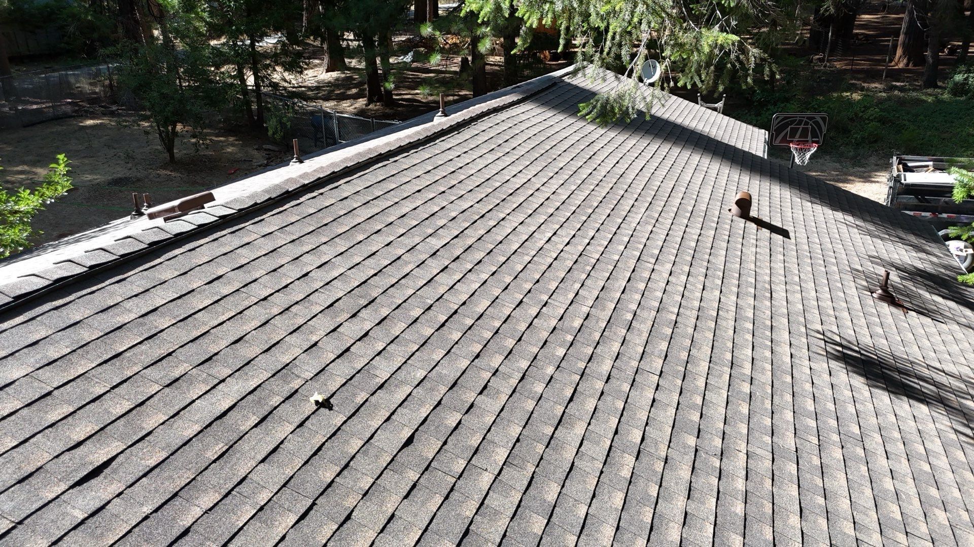 Dry Rot Repair and Roof Shingle Installation in Foresthill, CA