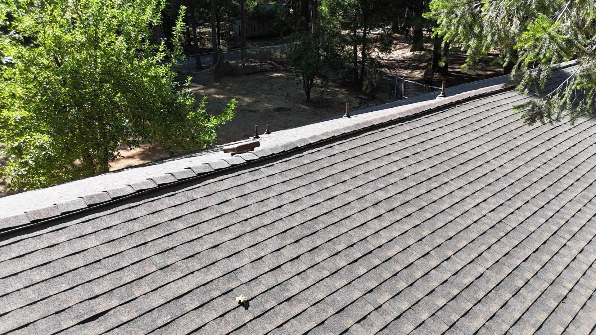 Dry Rot Repair and Roof Shingle Installation in Foresthill, CA