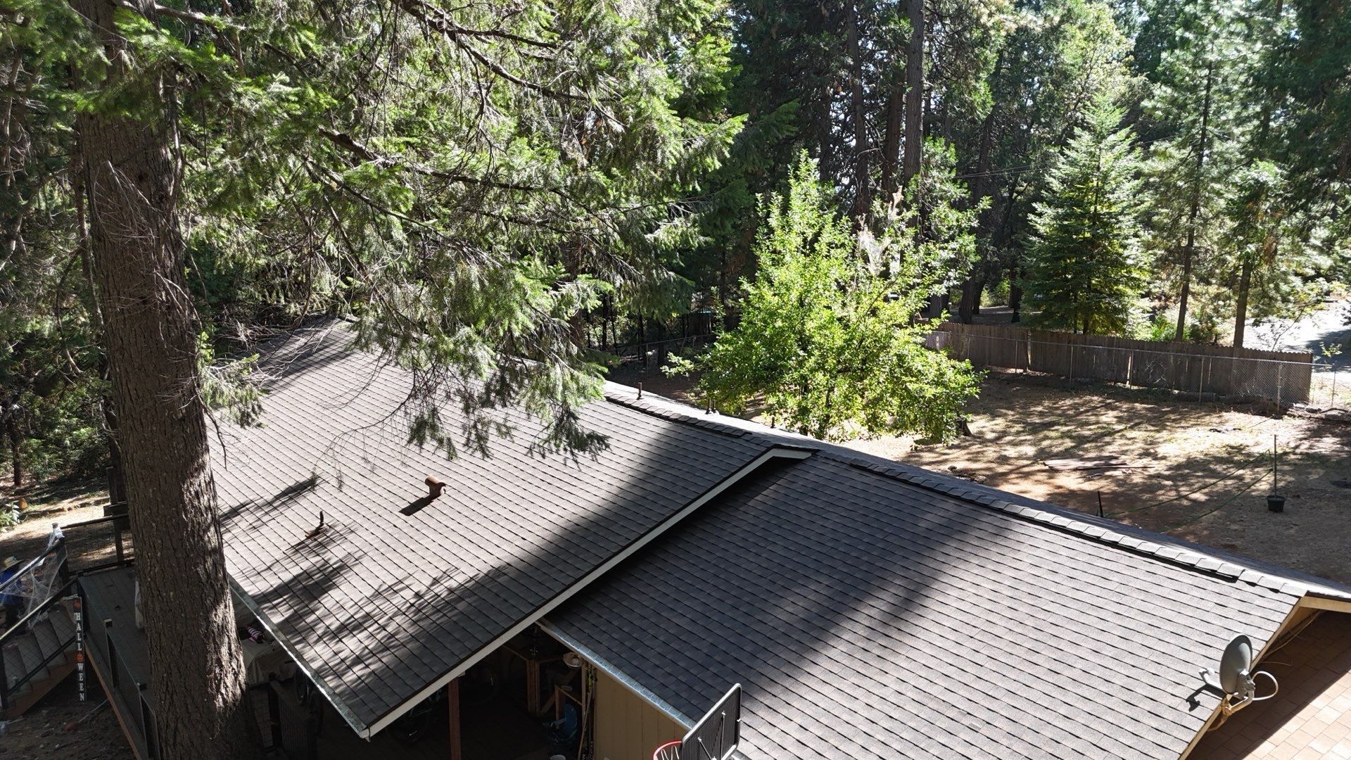 Dry Rot Repair and Roof Shingle Installation in Foresthill, CA