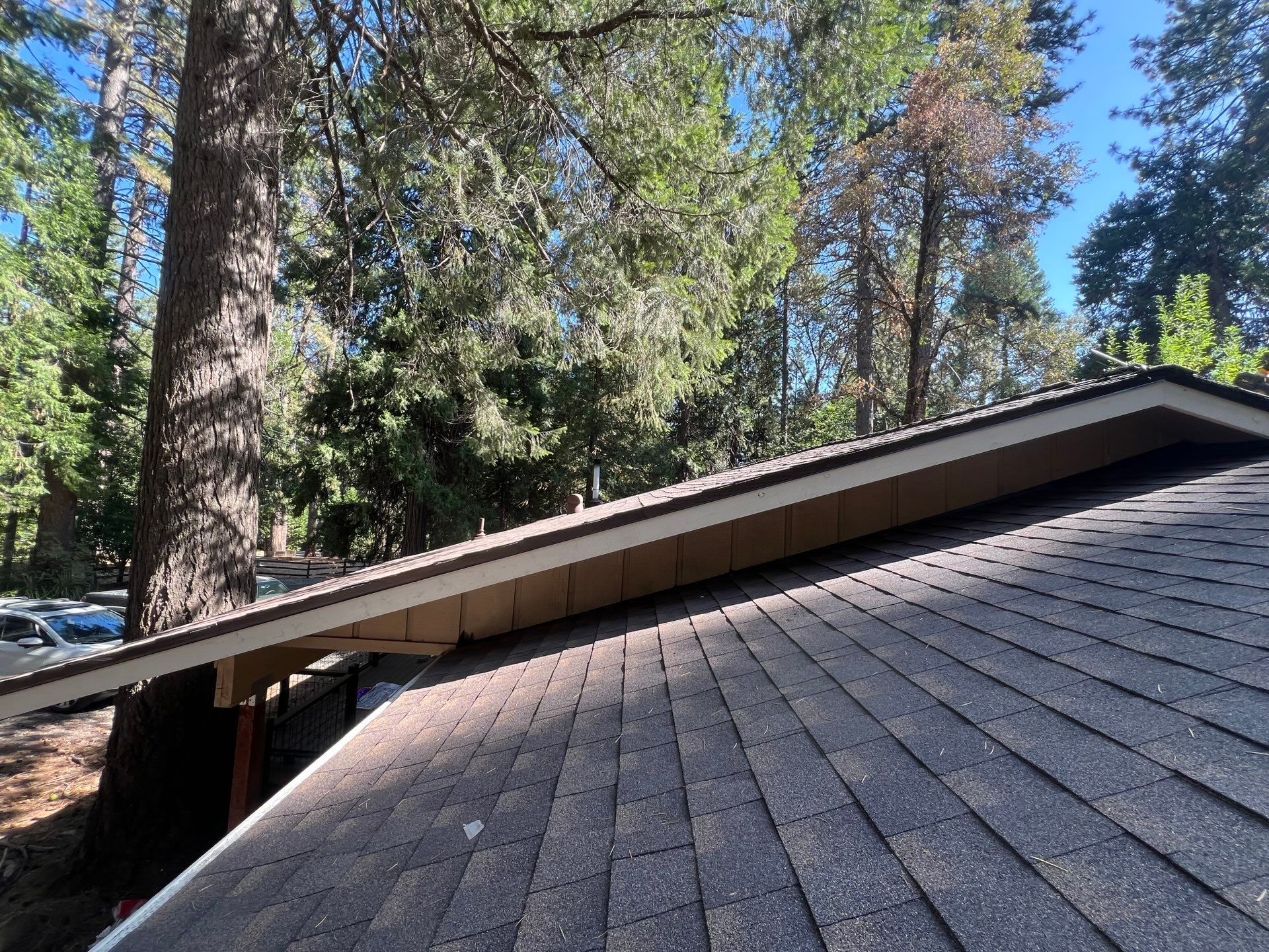 Dry Rot Repair and Roof Shingle Installation in Foresthill, CA