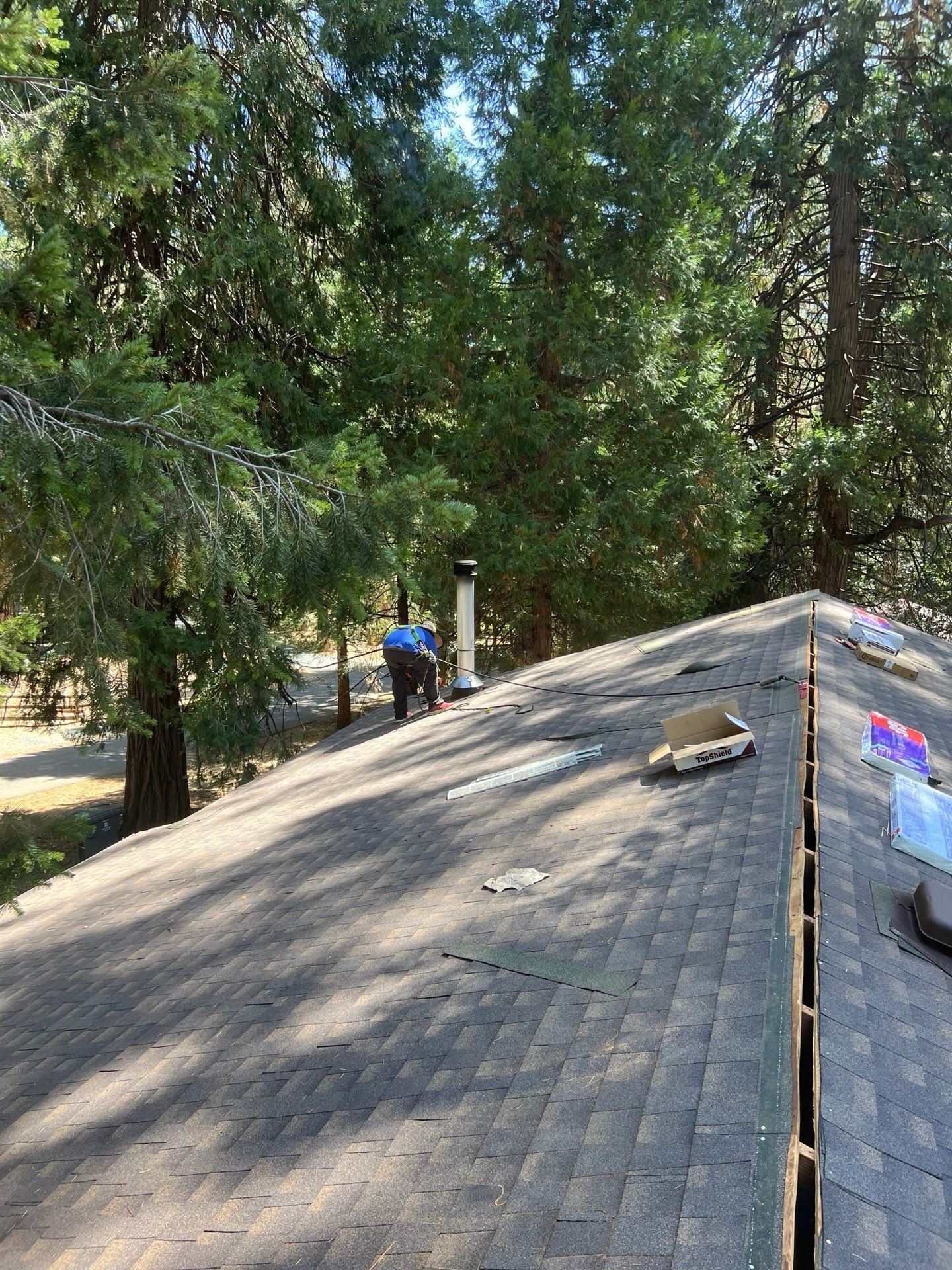 Dry Rot Repair and Roof Shingle Installation in Foresthill, CA