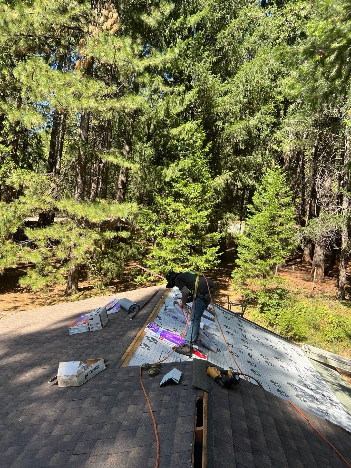 Dry Rot Repair and Roof Shingle Installation in Foresthill, CA