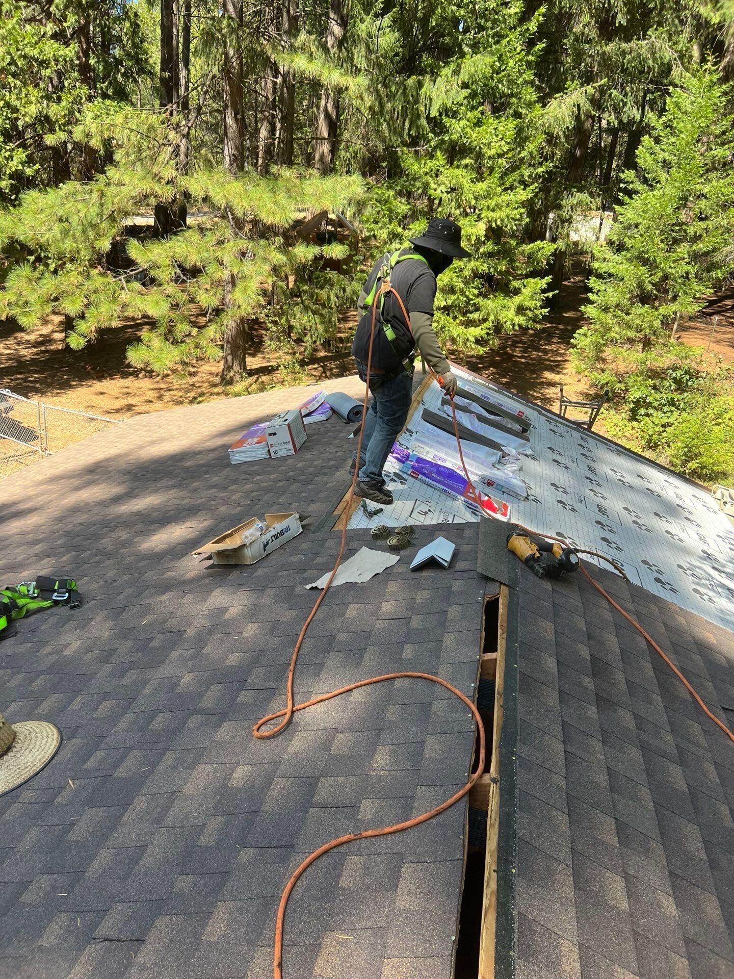 Dry Rot Repair and Roof Shingle Installation in Foresthill, CA