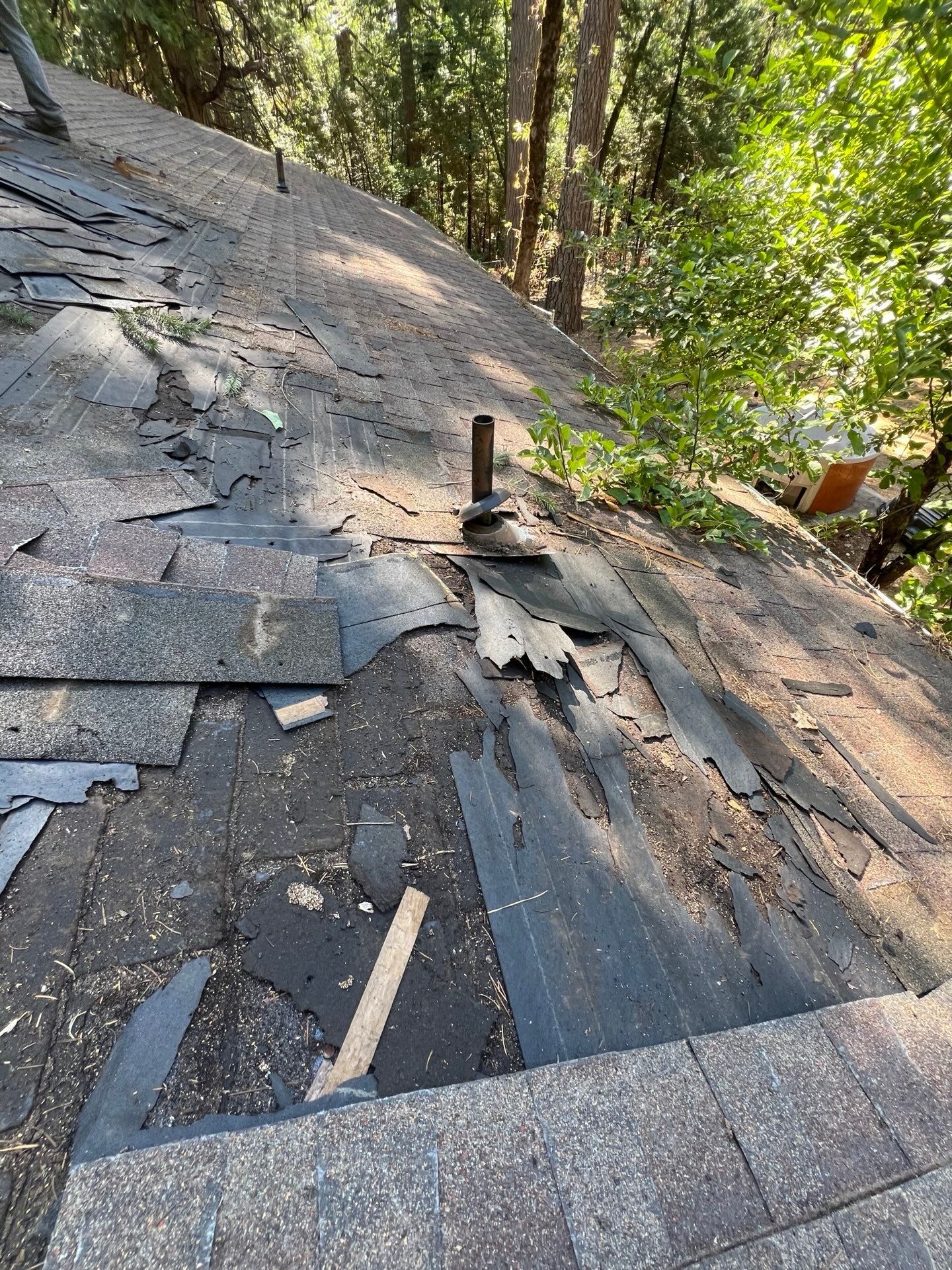 Dry Rot Repair and Roof Shingle Installation in Foresthill, CA