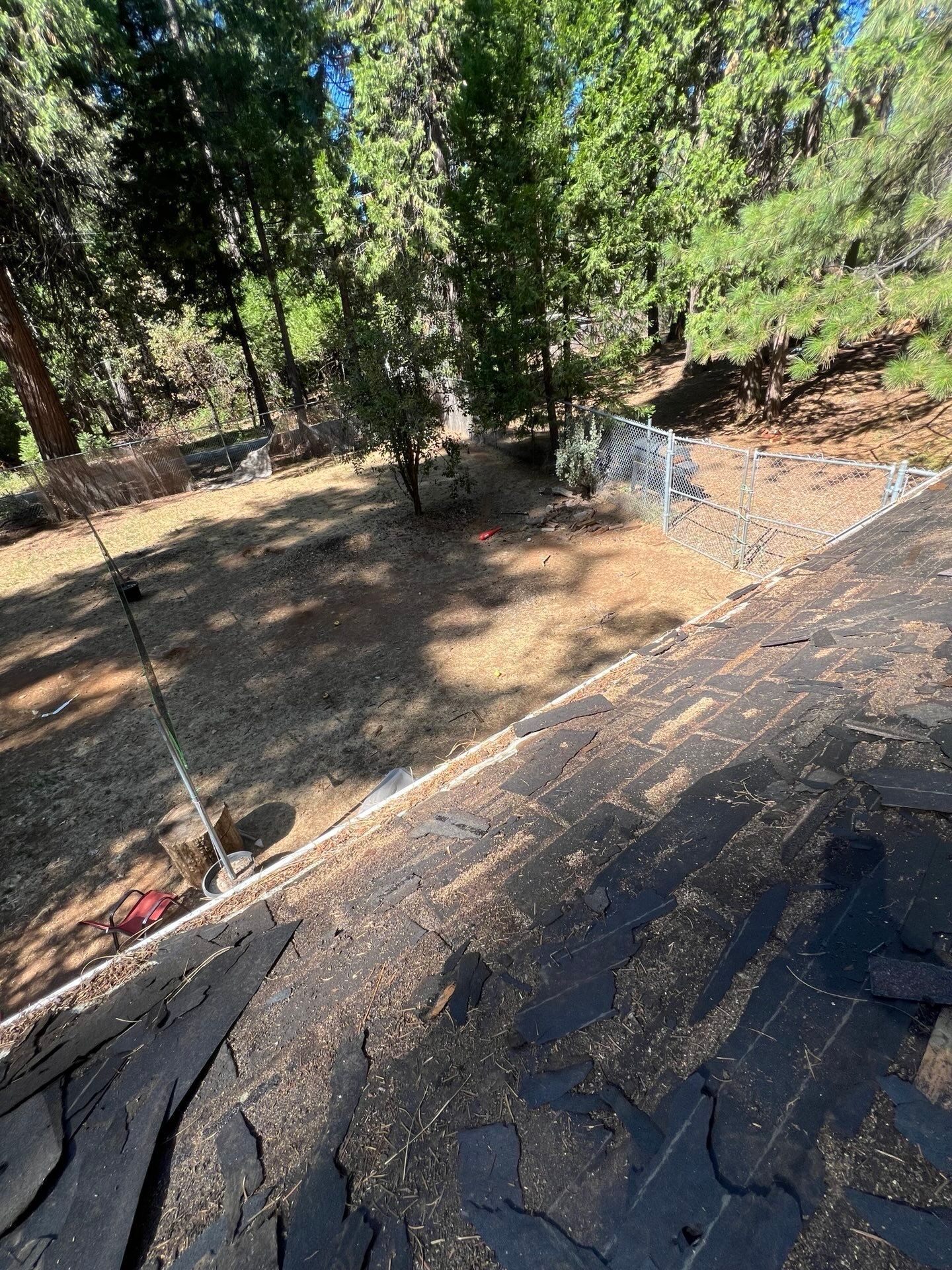 Dry Rot Repair and Roof Shingle Installation in Foresthill, CA