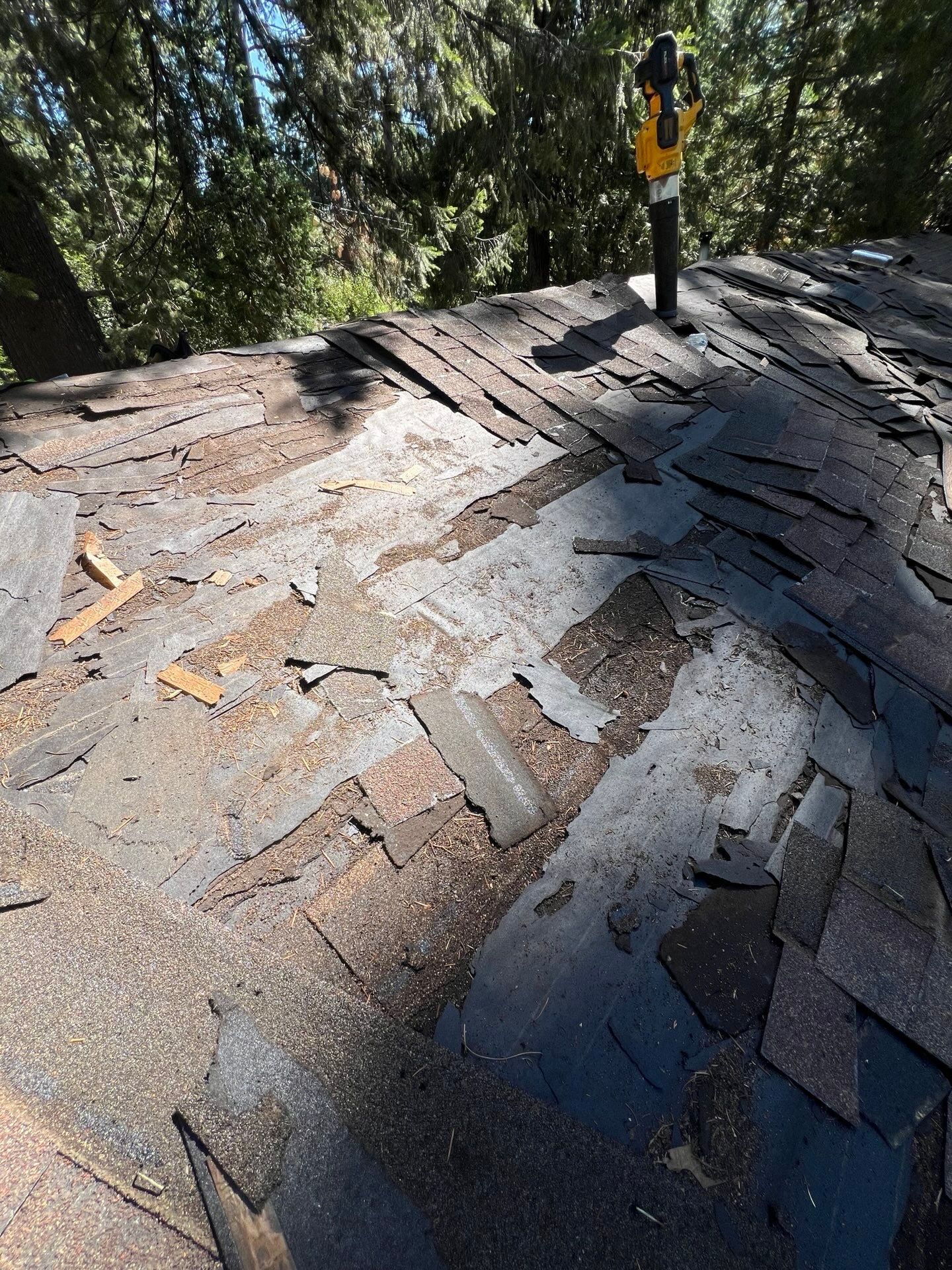 Dry Rot Repair and Roof Shingle Installation in Foresthill, CA