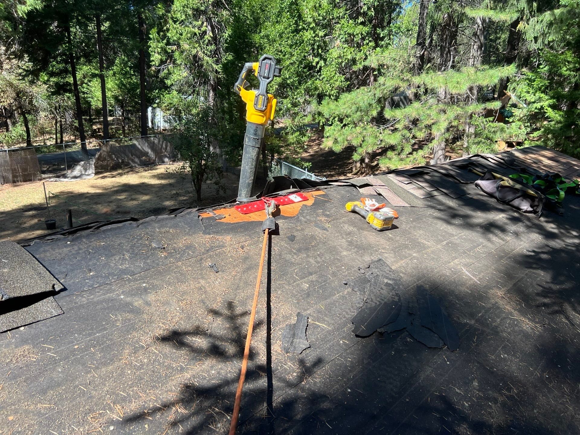 Dry Rot Repair and Roof Shingle Installation in Foresthill, CA