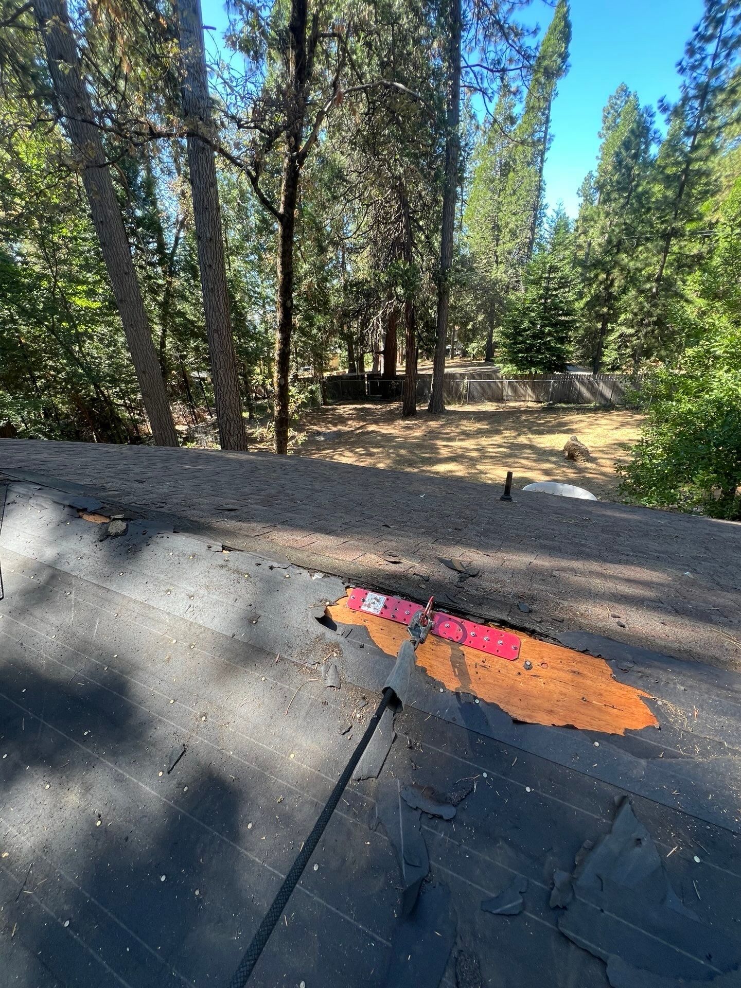 Dry Rot Repair and Roof Shingle Installation in Foresthill, CA