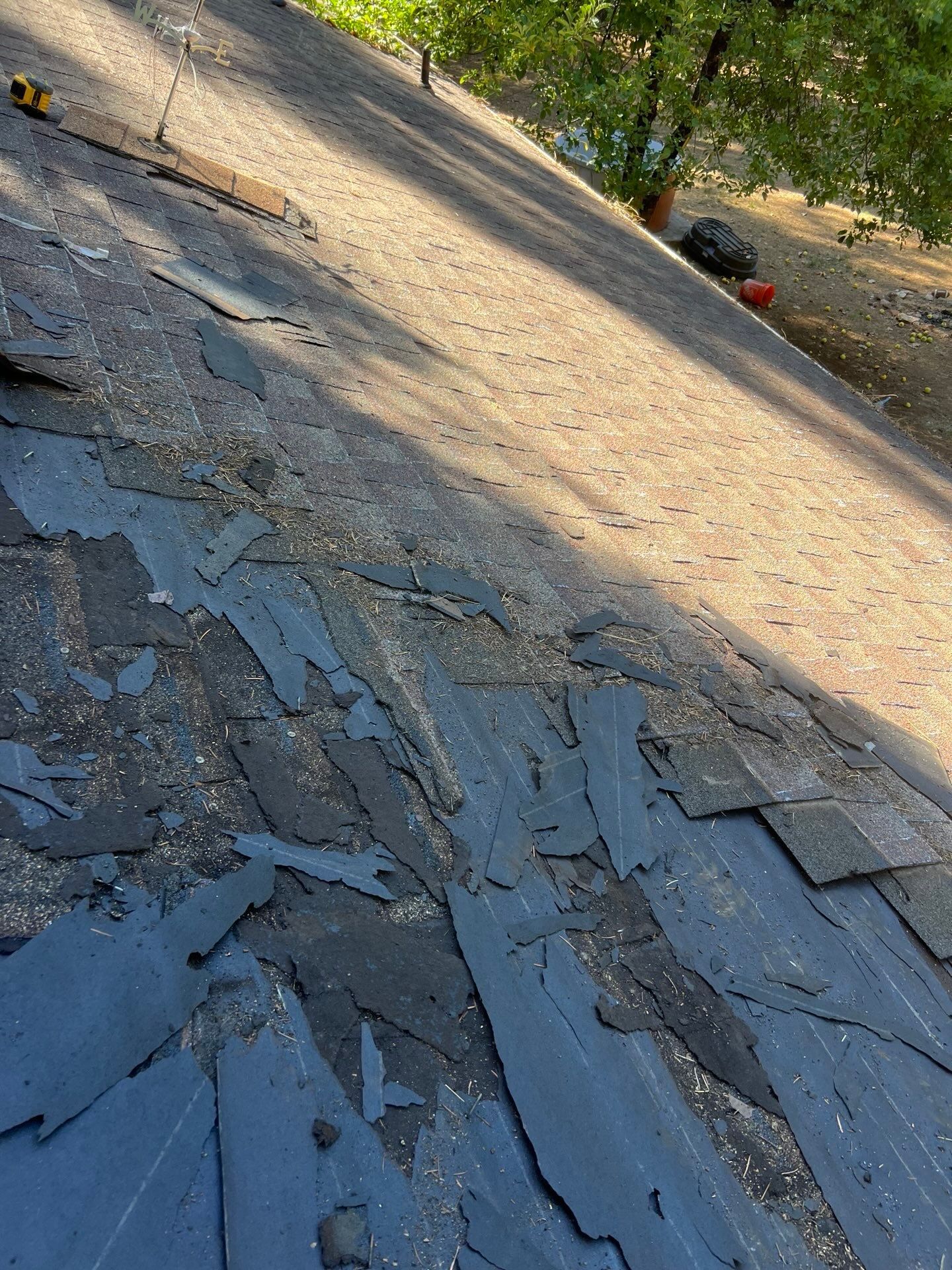 Dry Rot Repair and Roof Shingle Installation in Foresthill, CA