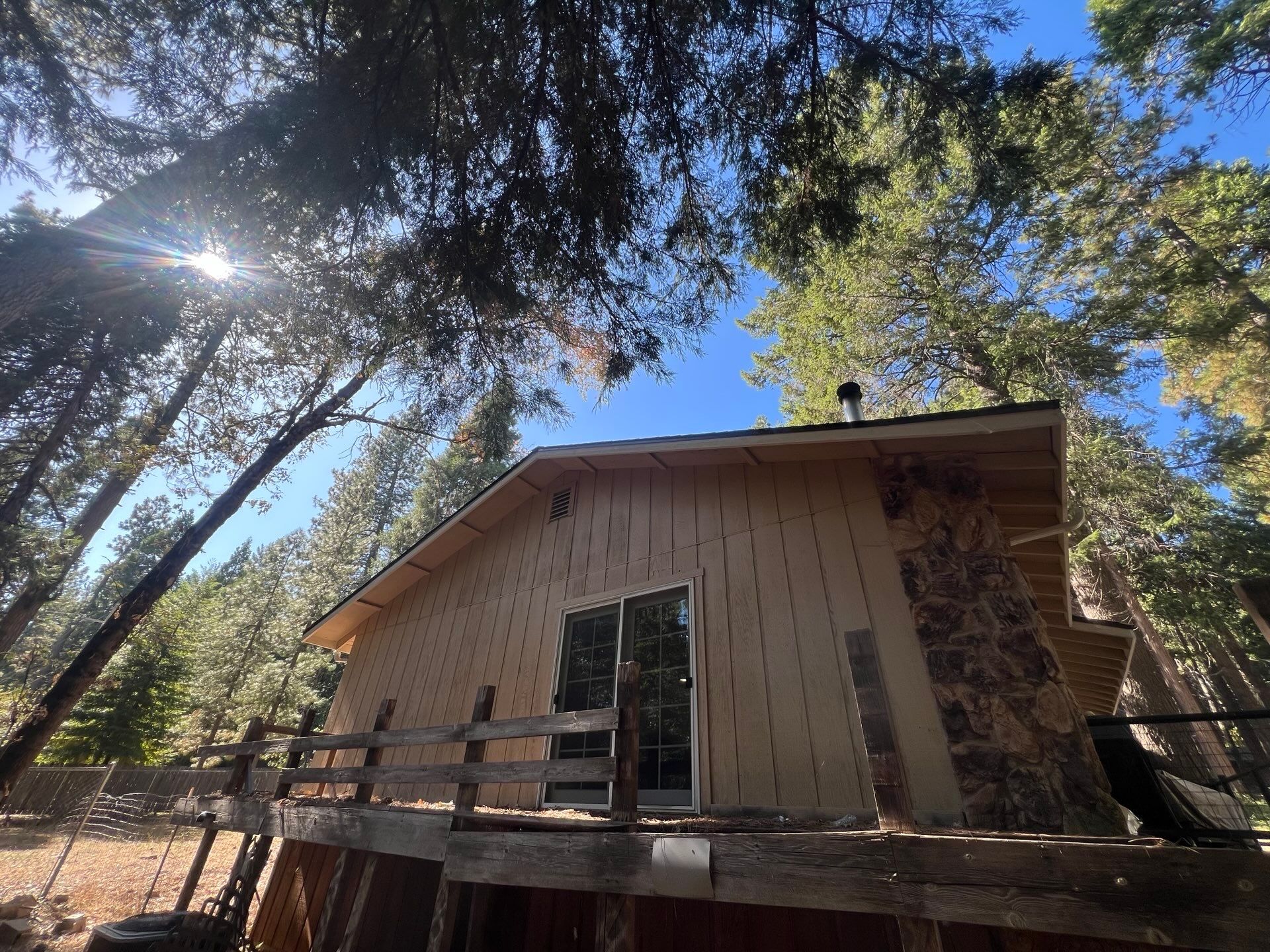 Dry Rot Repair and Roof Shingle Installation in Foresthill, CA