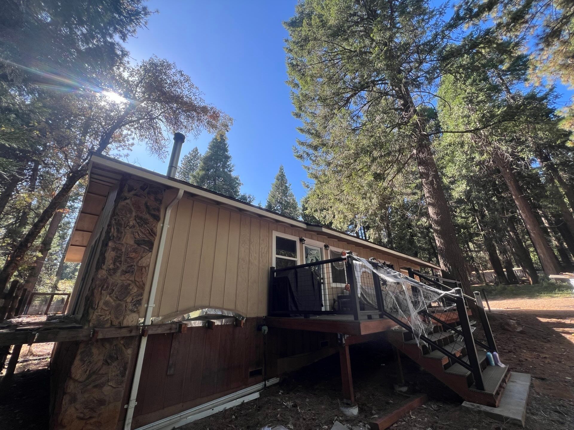 Dry Rot Repair and Roof Shingle Installation in Foresthill, CA