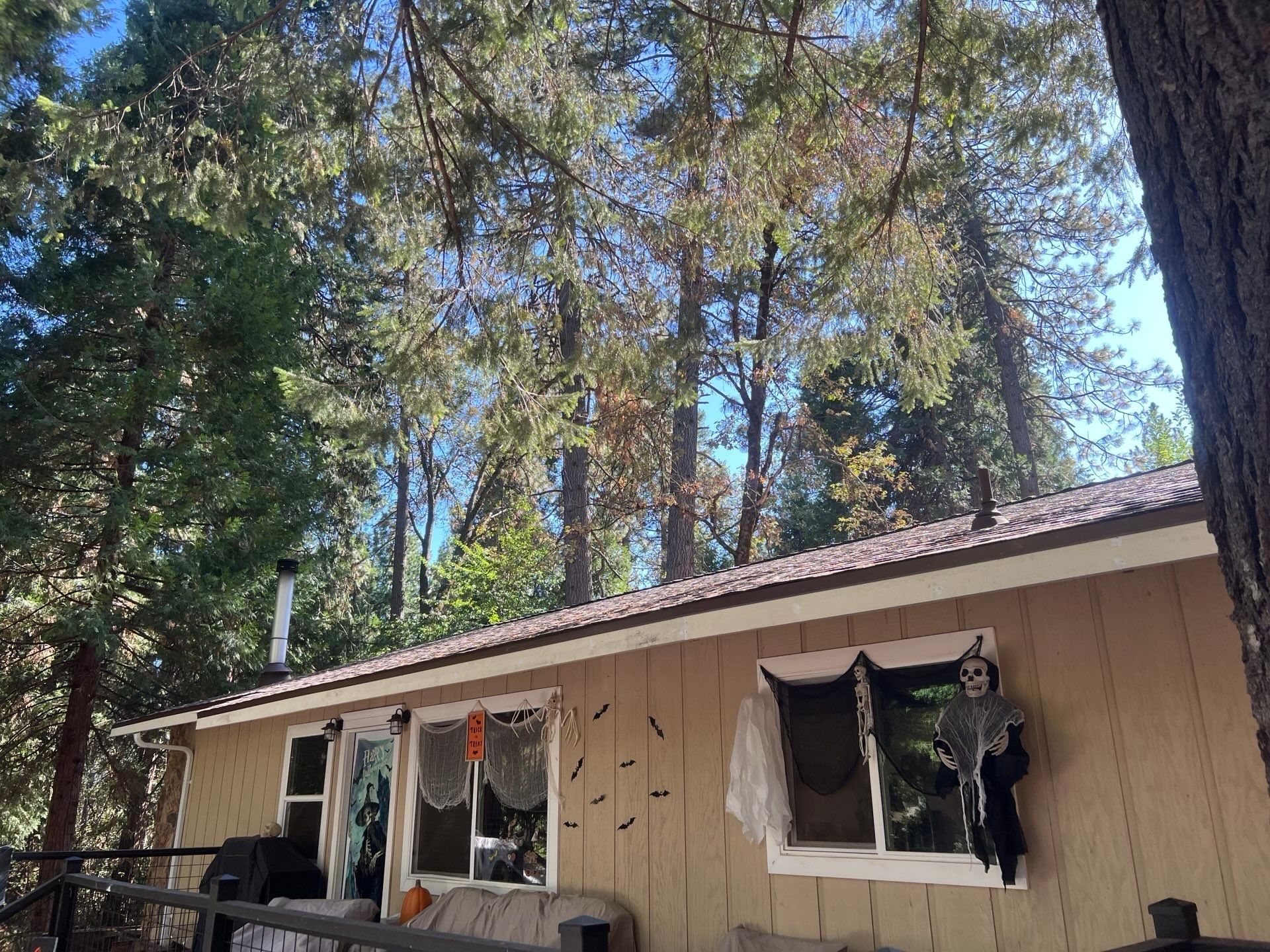 Dry Rot Repair and Roof Shingle Installation in Foresthill, CA