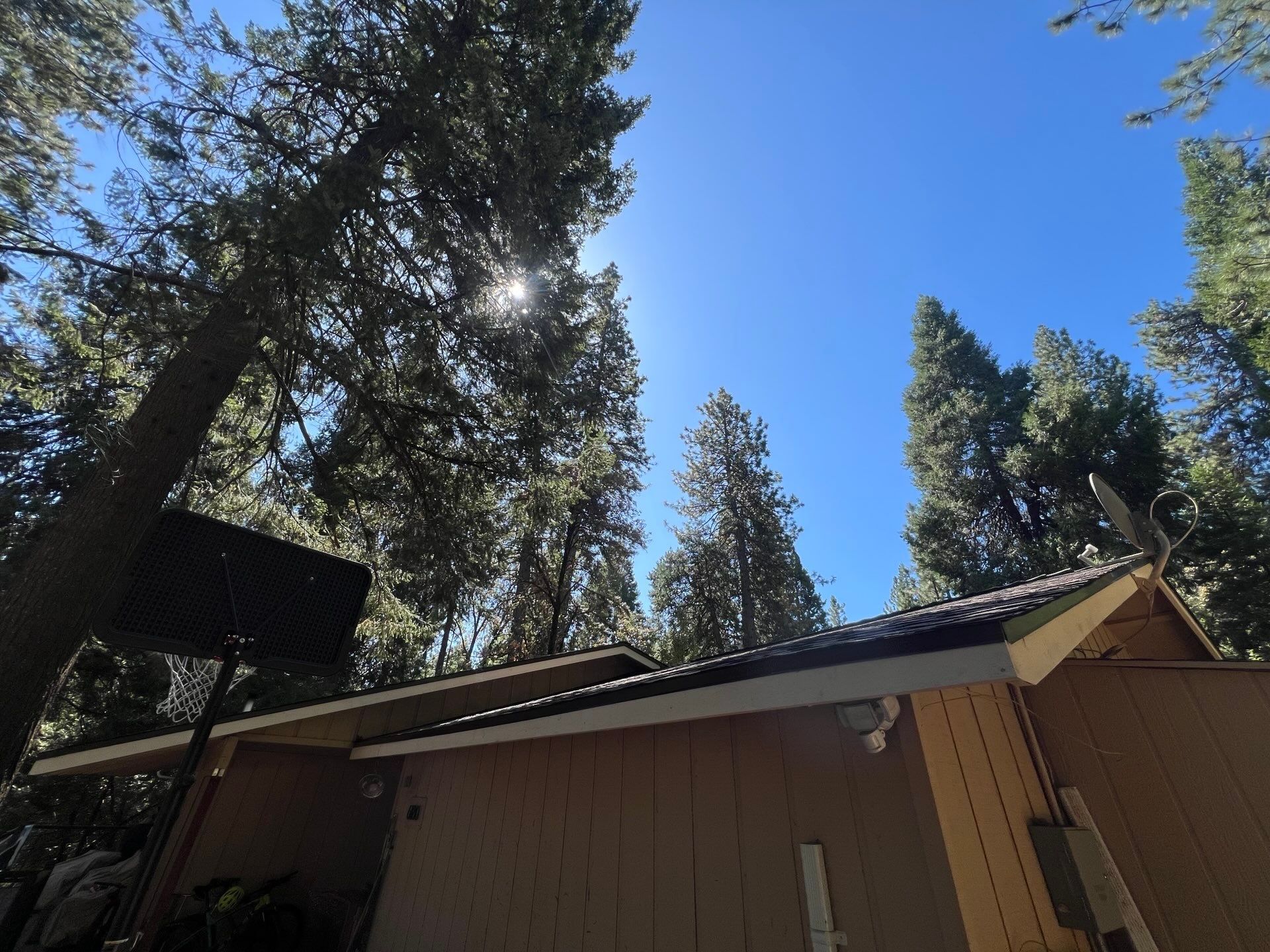 Dry Rot Repair and Roof Shingle Installation in Foresthill, CA