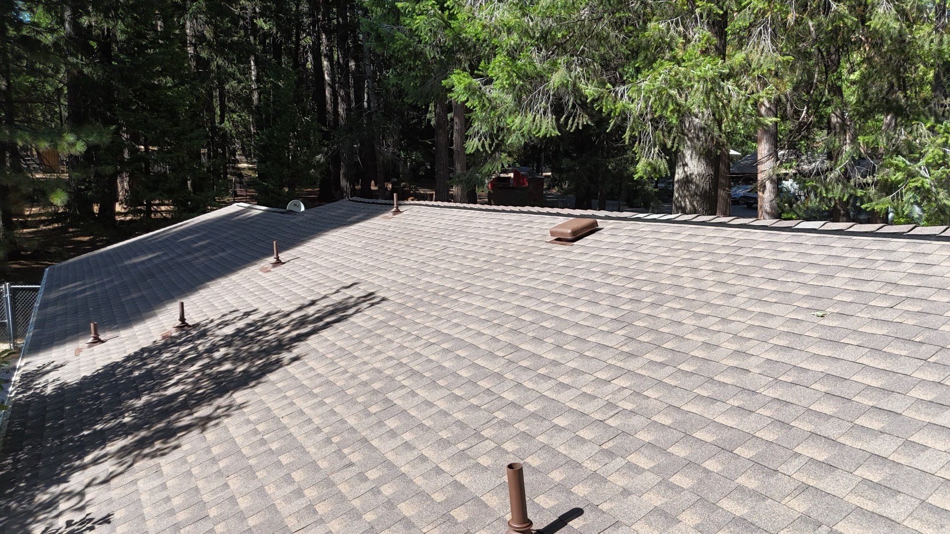 Dry Rot Repair and Roof Shingle Installation in Foresthill, CA